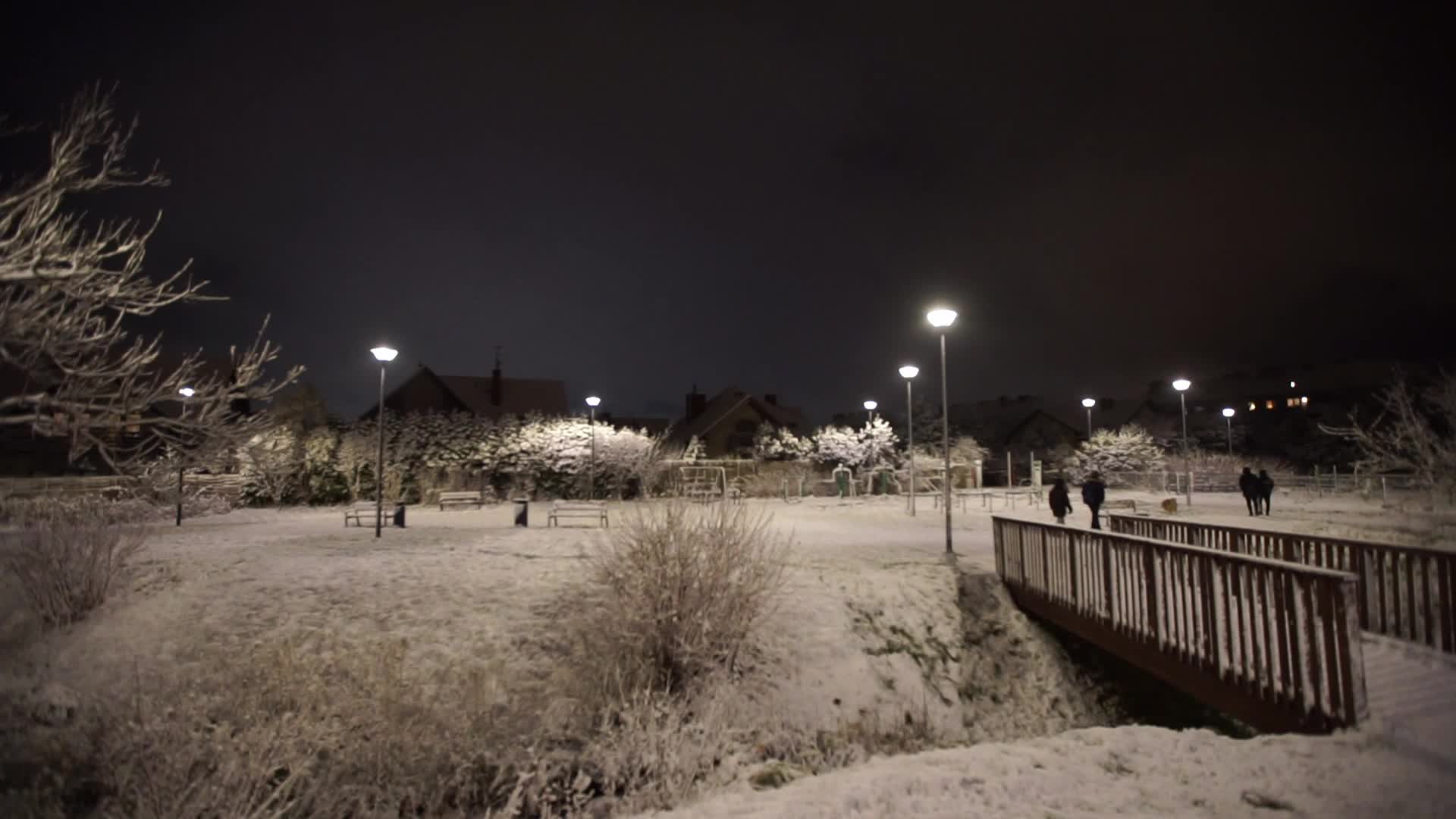 Winter Came To Gdansk, Poland