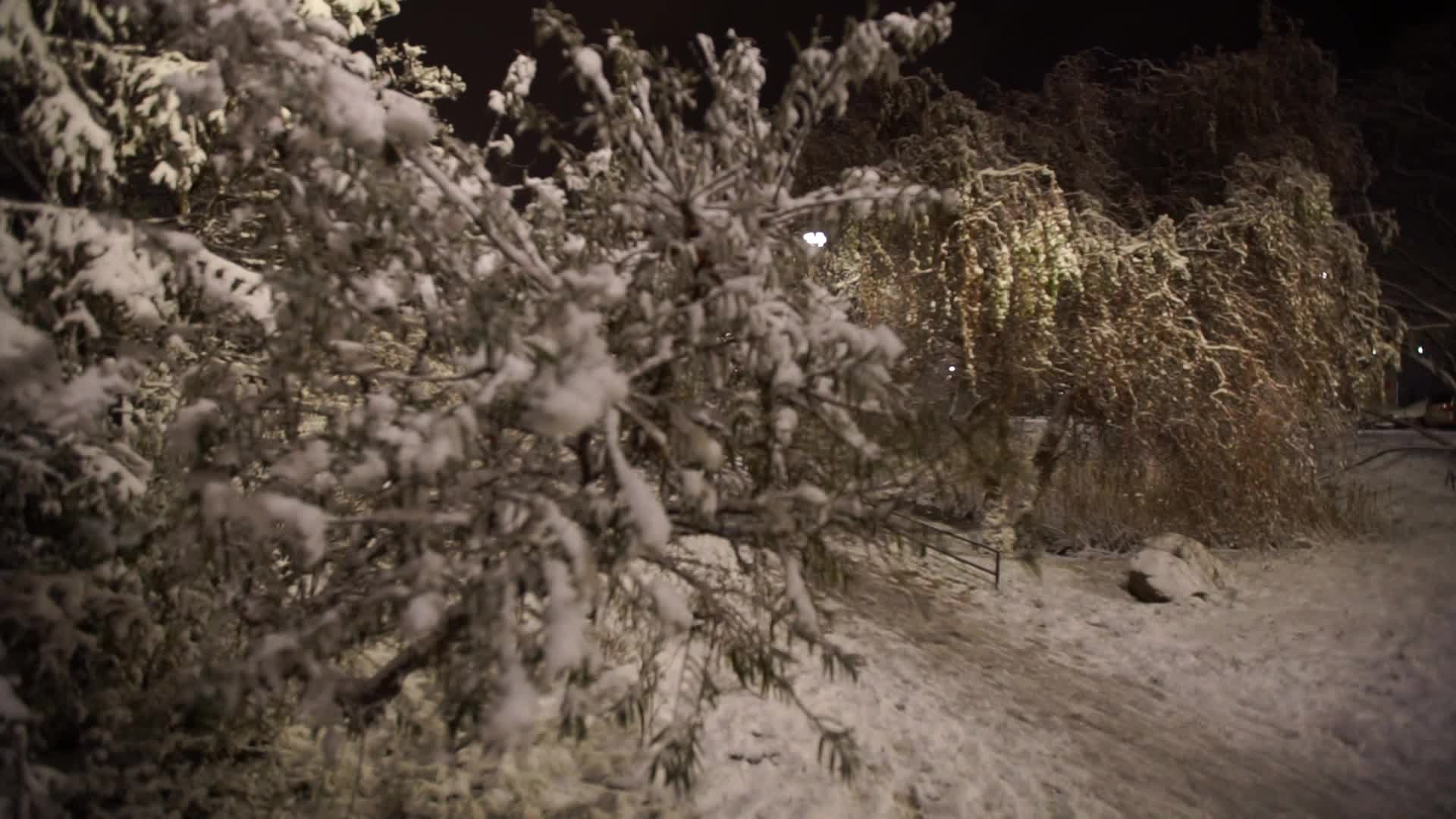 Winter Came To Gdansk, Poland