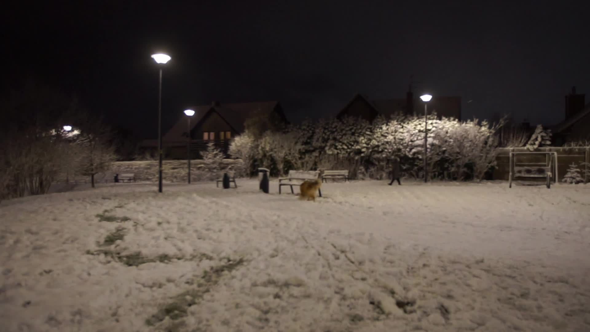 Winter Came To Gdansk, Poland