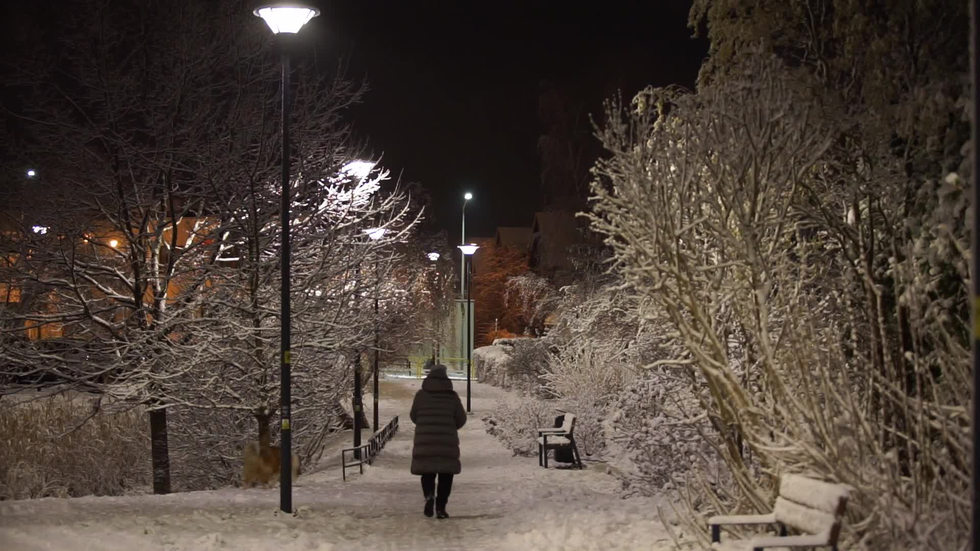 Winter Came To Gdansk, Poland