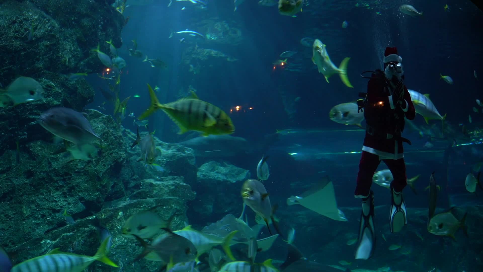 Santa Claus at Sea Life Aquarium in Bangkok.