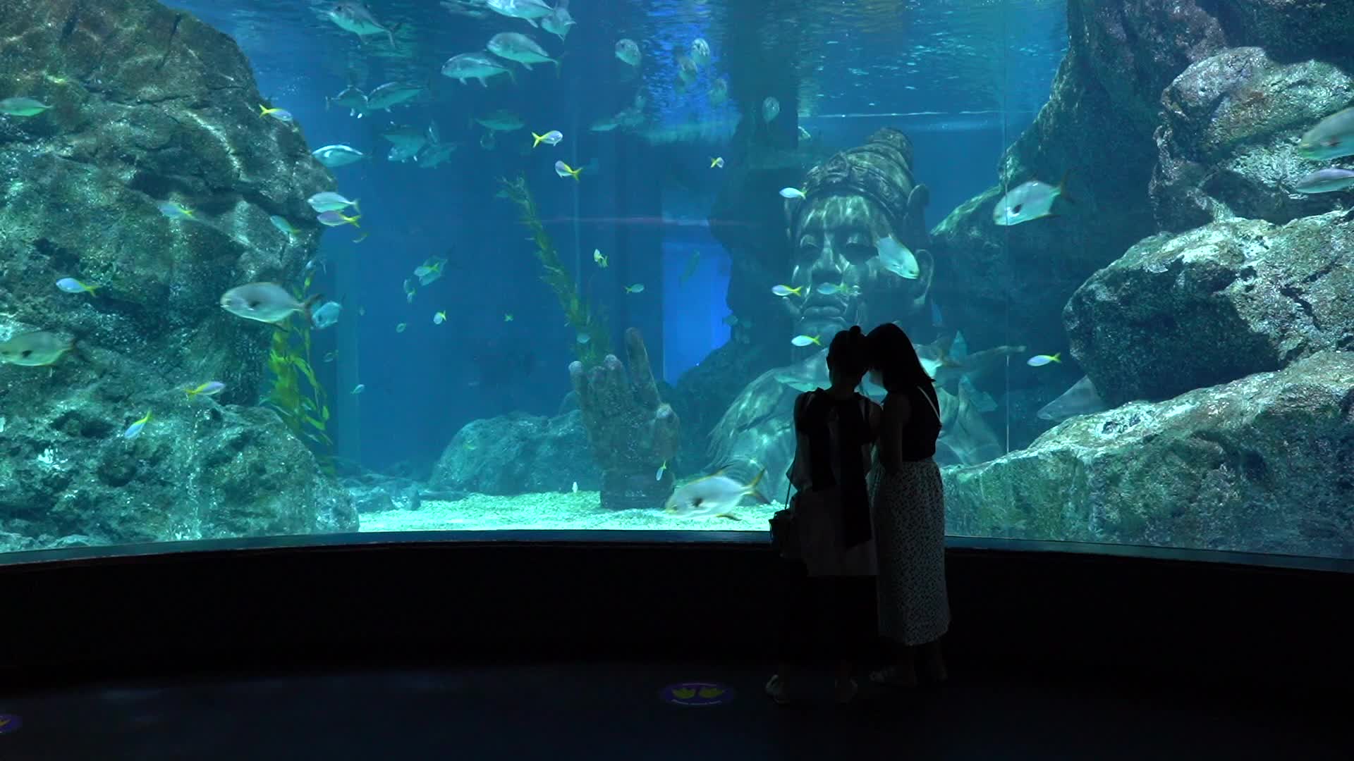 Santa Claus at Sea Life Aquarium in Bangkok.