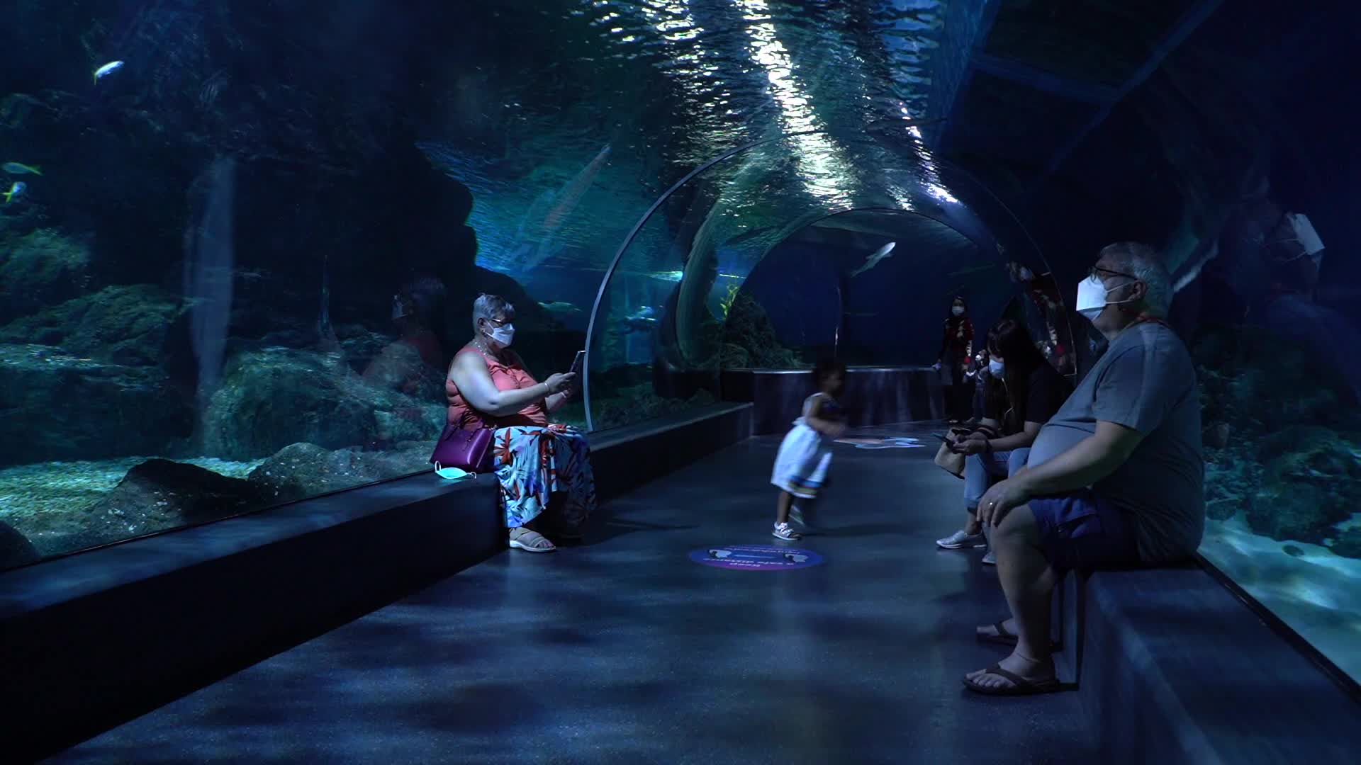 Santa Claus at Sea Life Aquarium in Bangkok.