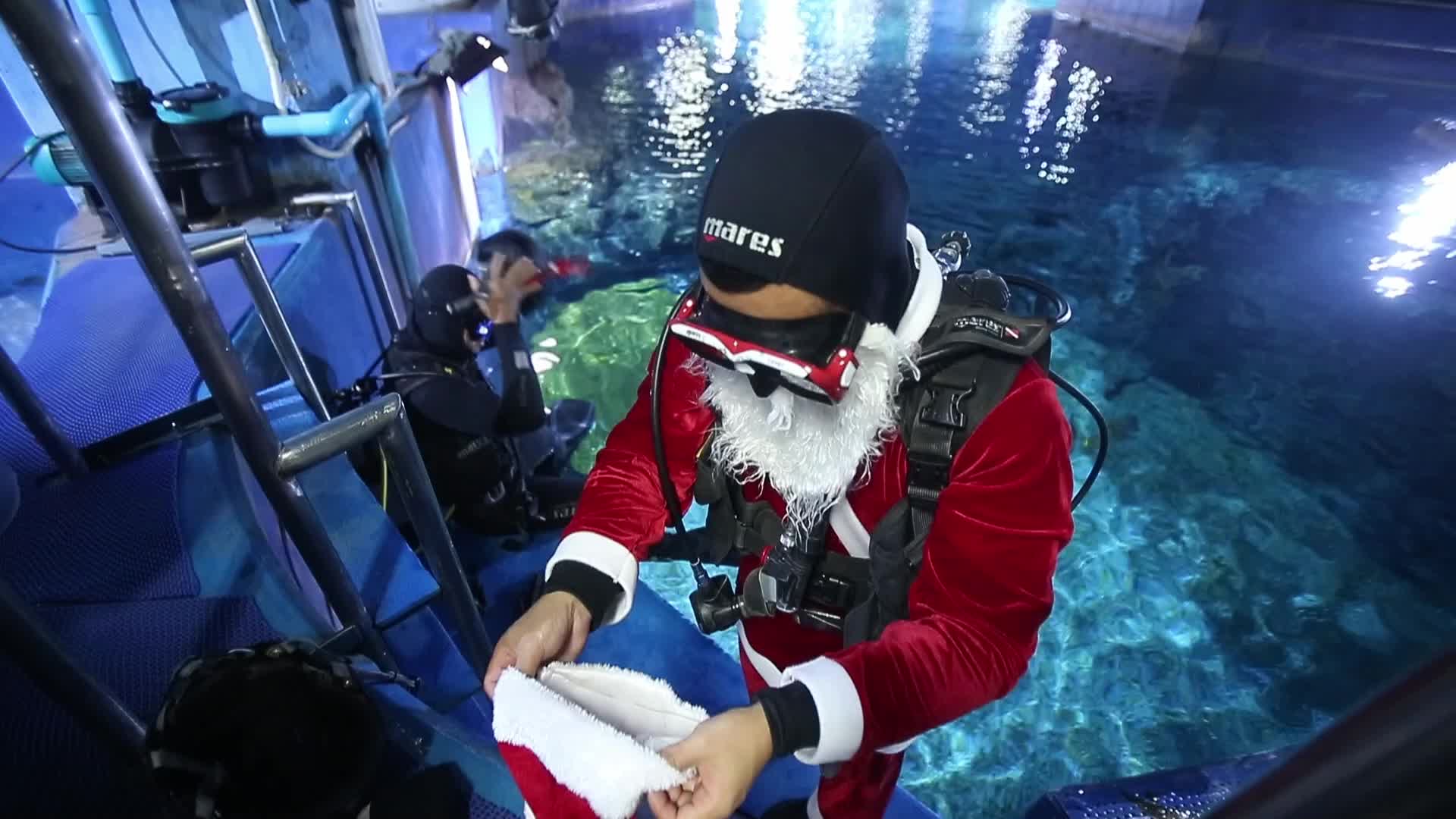 Santa Claus at the Sea Life aquarium in Bangkok, Thailand