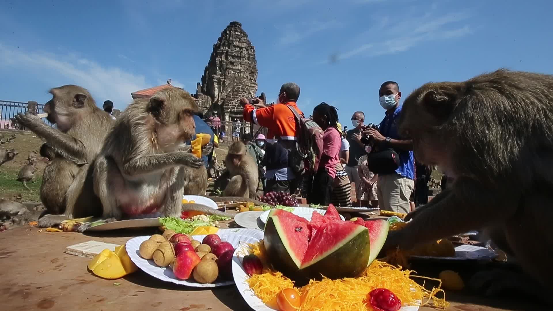 33rd annual Monkey Party Festival