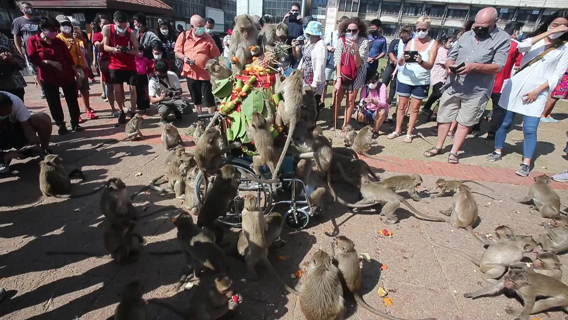 33rd annual Monkey Party Festival