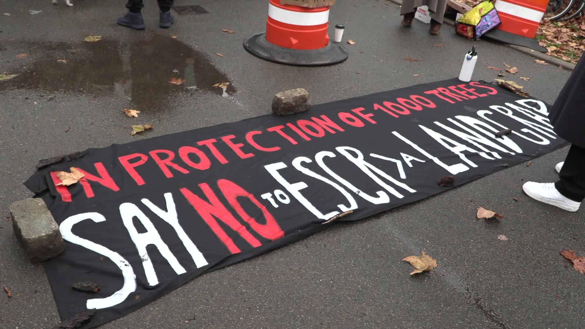 NYC: Save East River Park