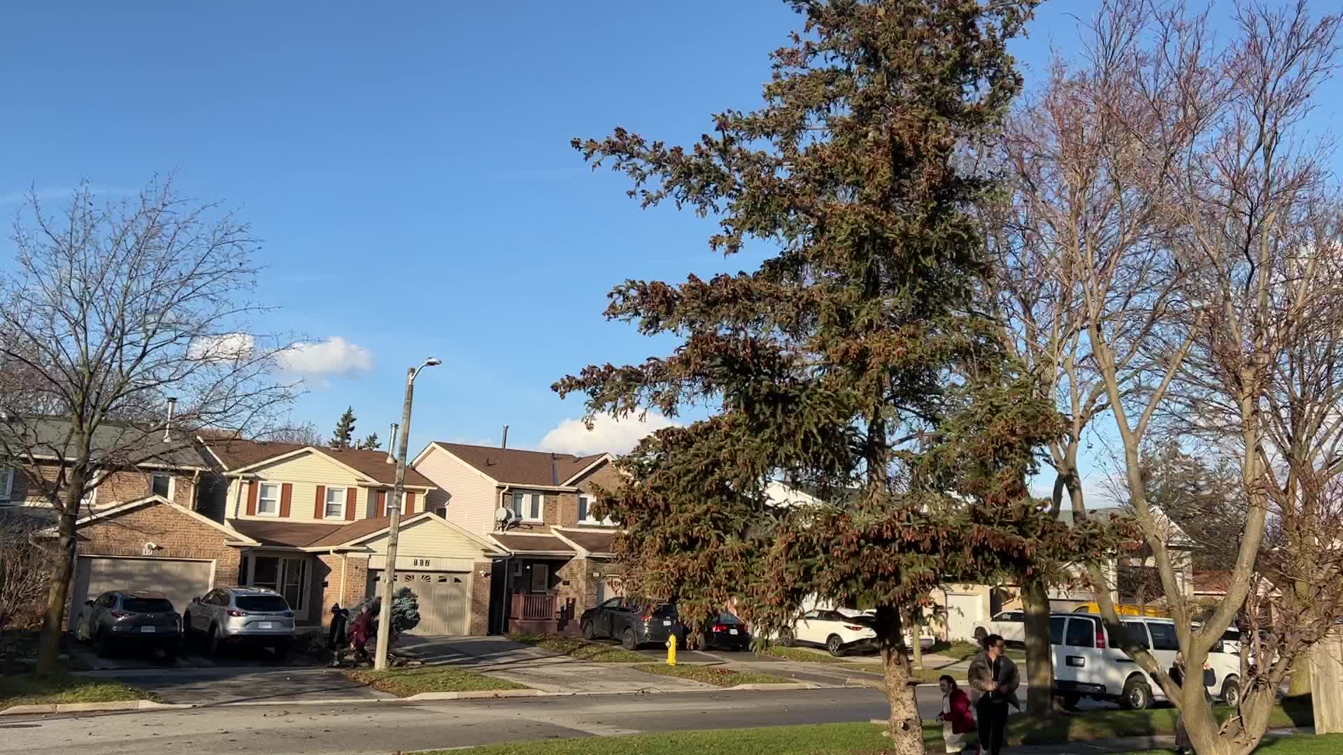 Wind storm wreaks havoc across Southern Ontario