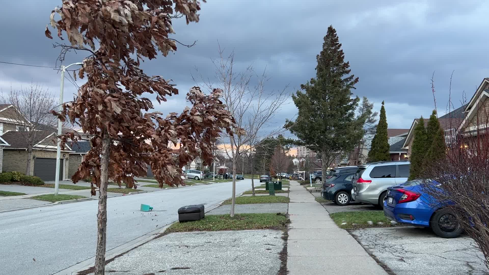 Wind storm wreaks havoc across Southern Ontario