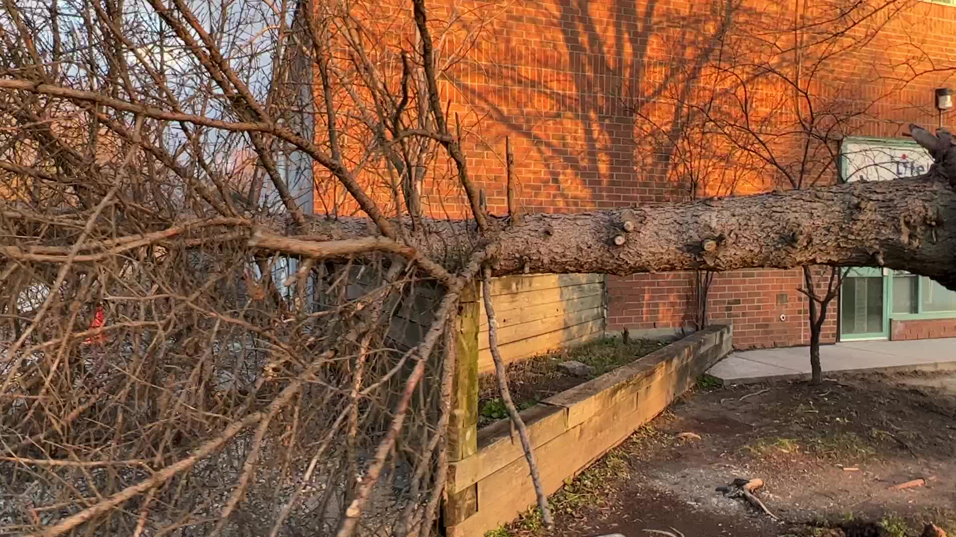 Wind storm wreaks havoc across Southern Ontario