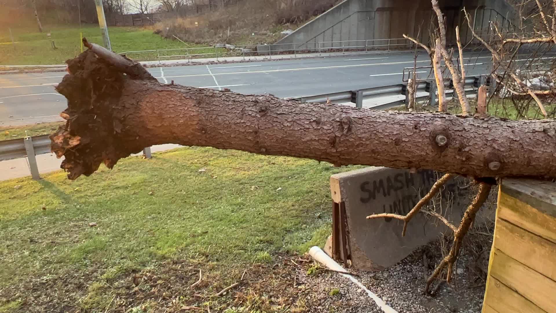 Wind storm wreaks havoc across Southern Ontario