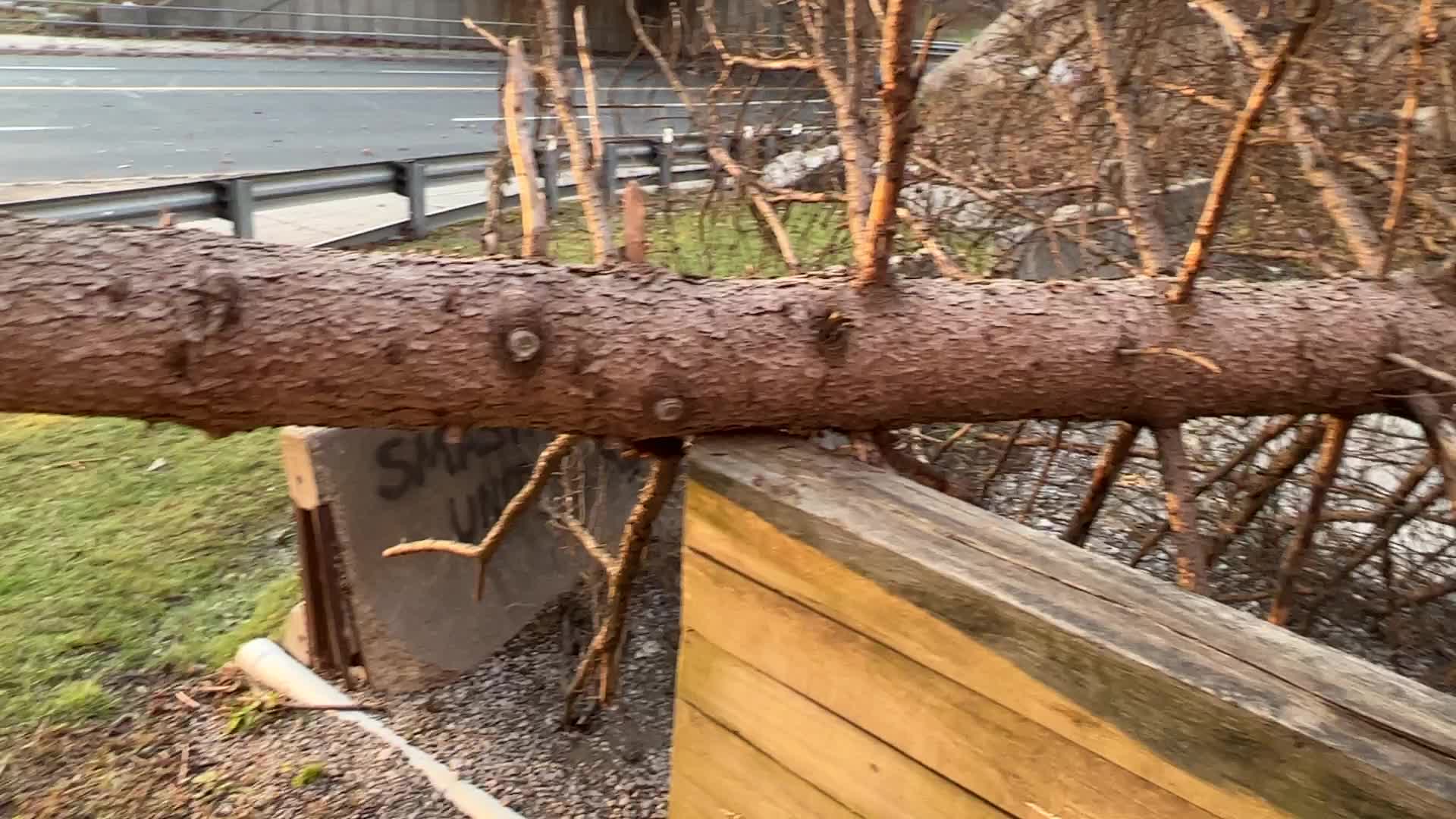 Wind storm wreaks havoc across Southern Ontario