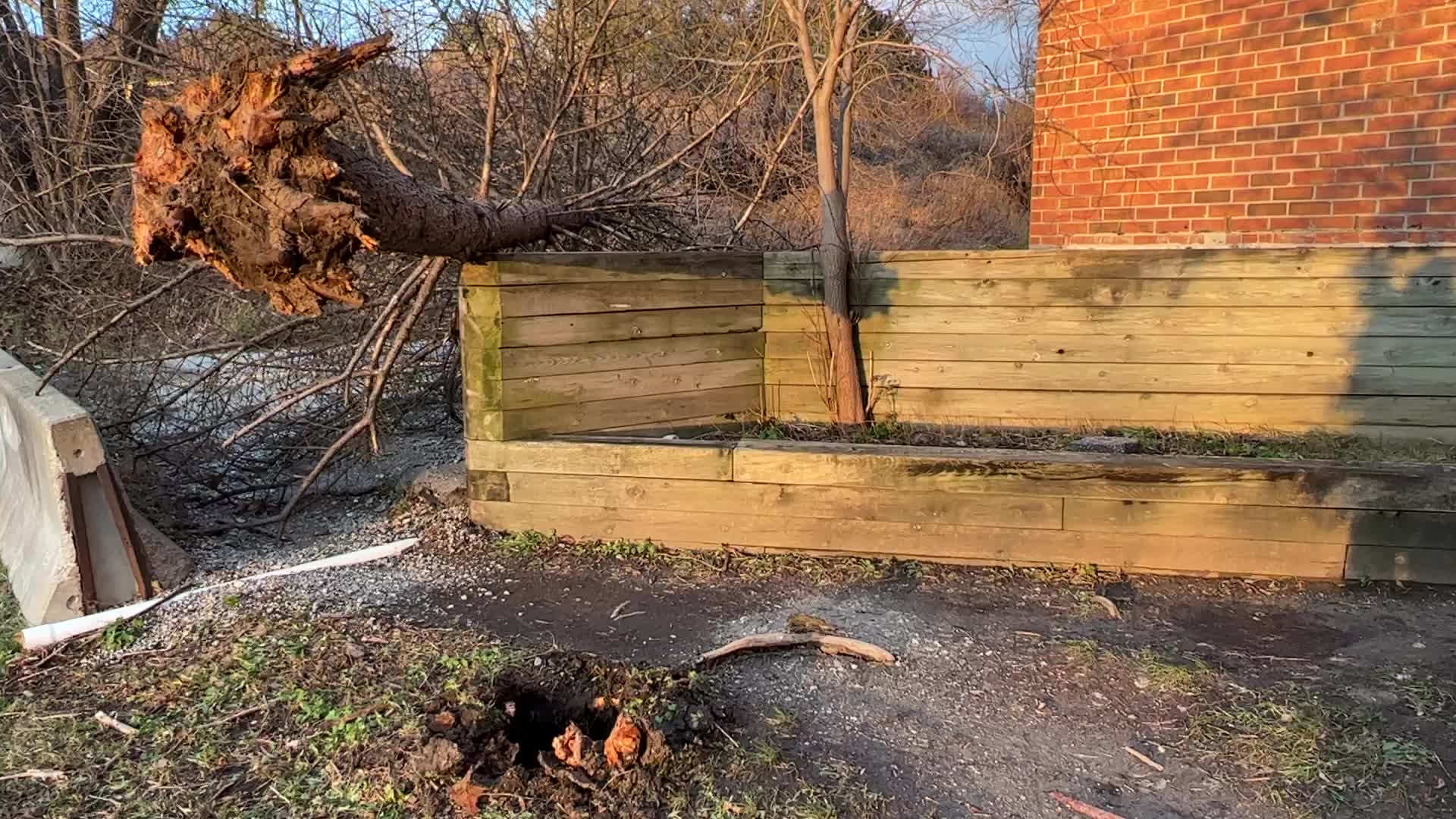 Wind storm wreaks havoc across Southern Ontario