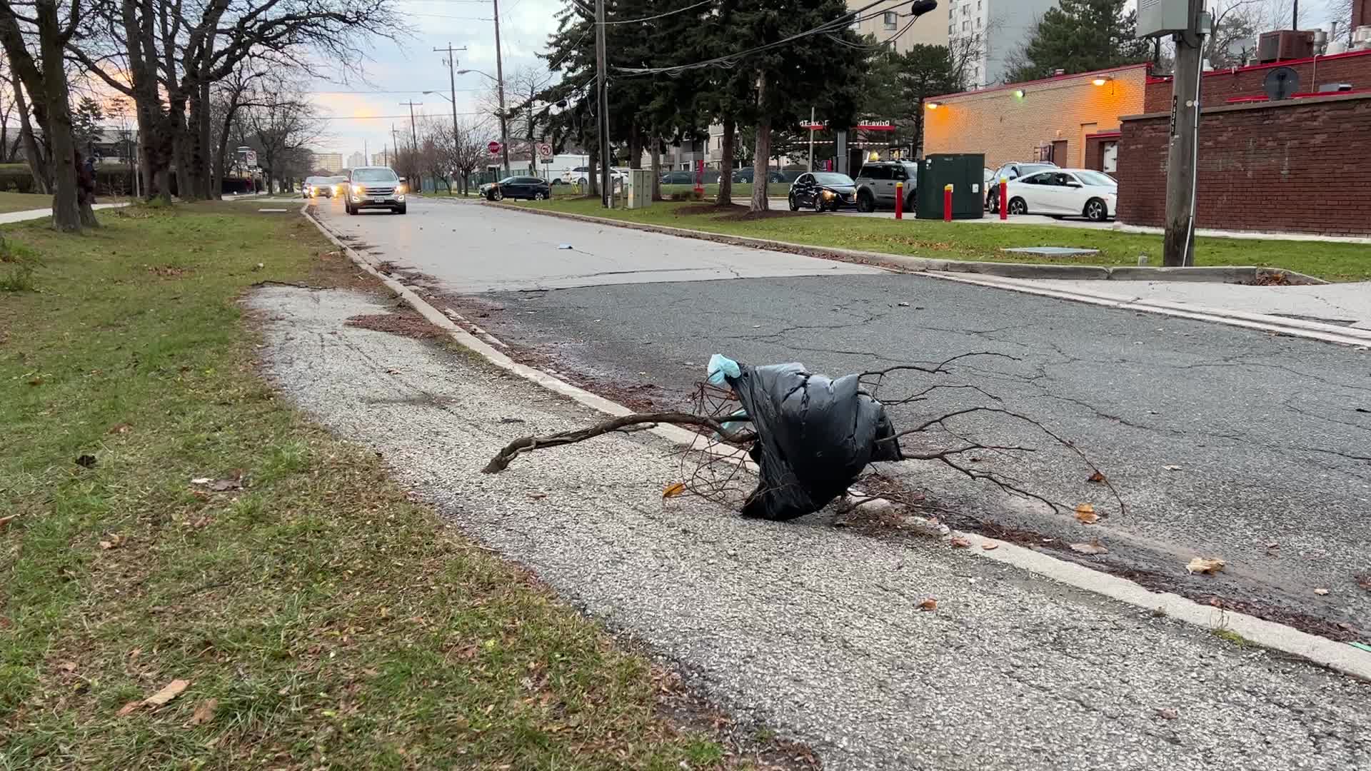 Wind storm wreaks havoc across Southern Ontario
