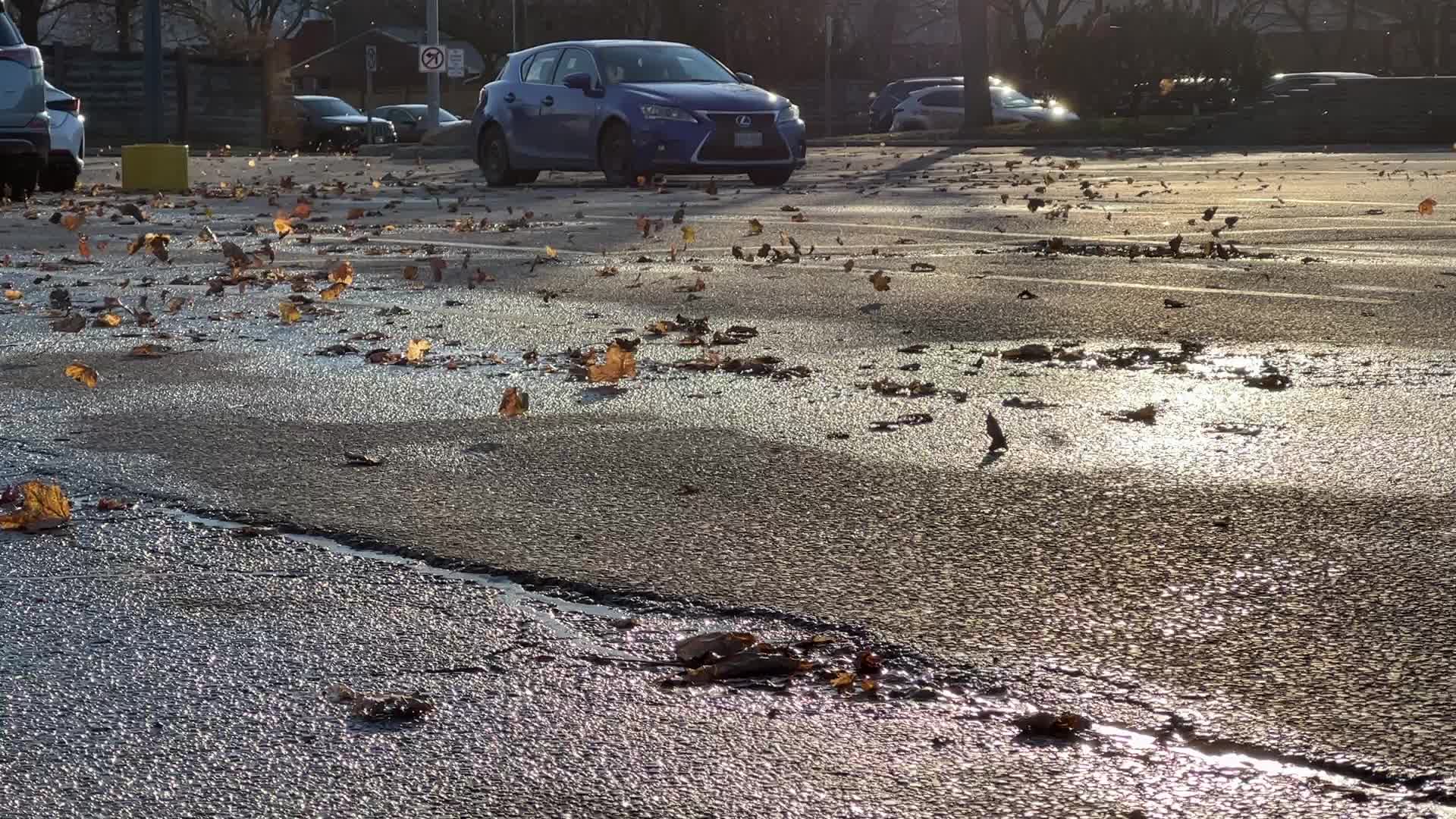 Wind storm wreaks havoc across Southern Ontario