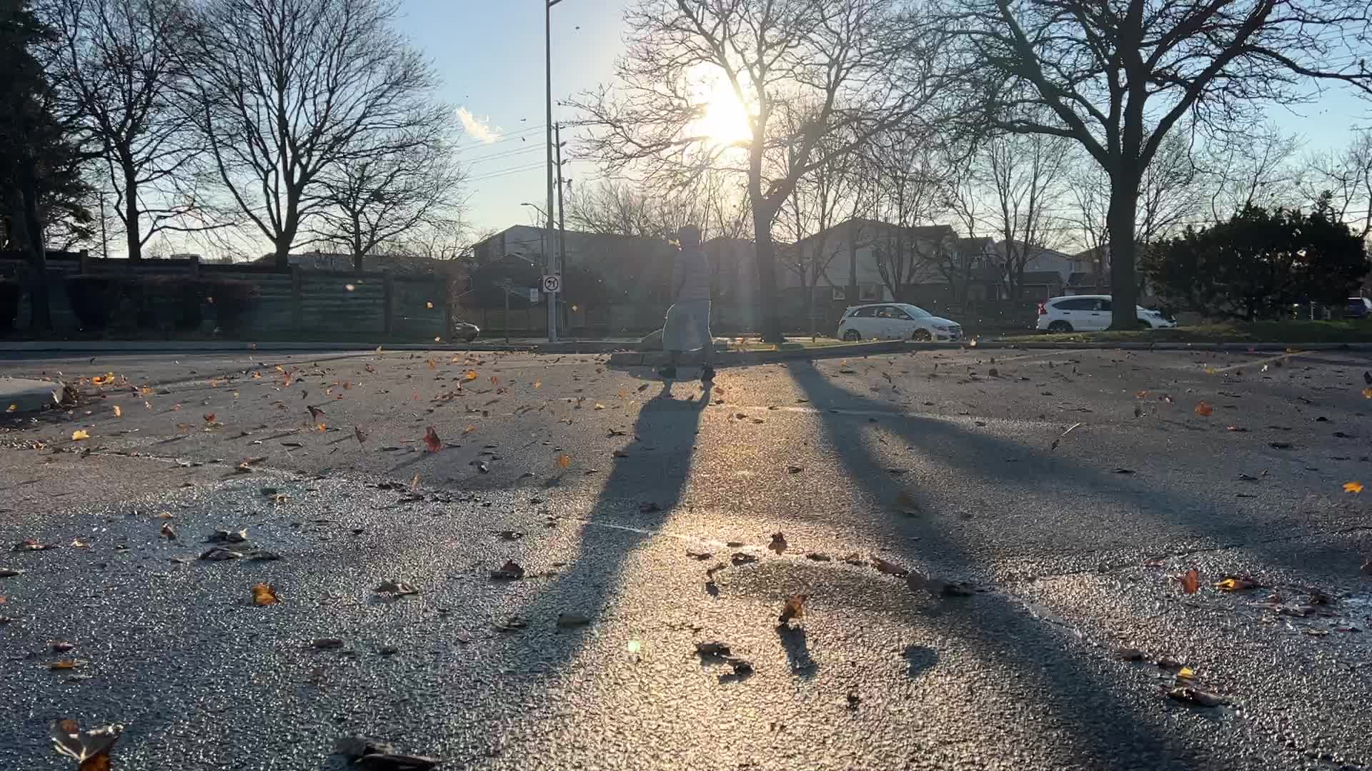 Wind storm wreaks havoc across Southern Ontario