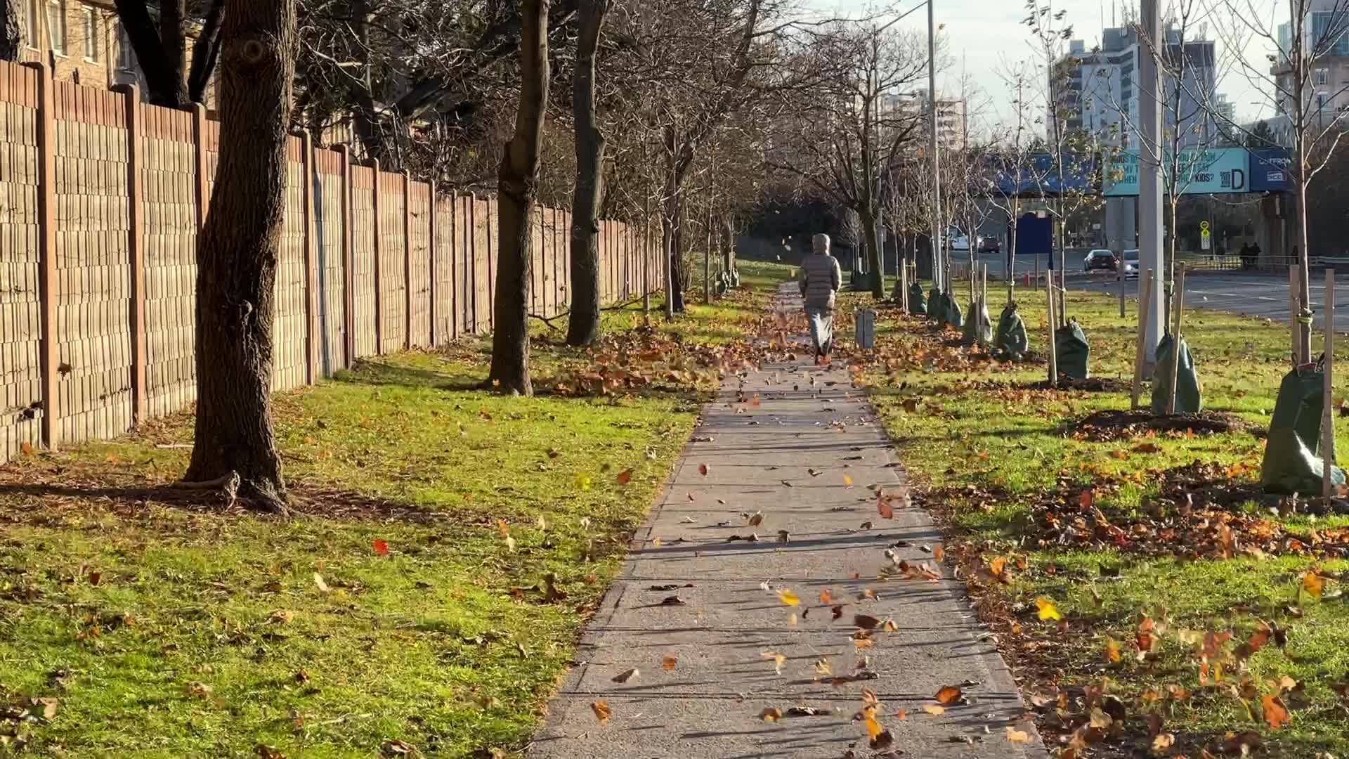 Wind storm wreaks havoc across Southern Ontario