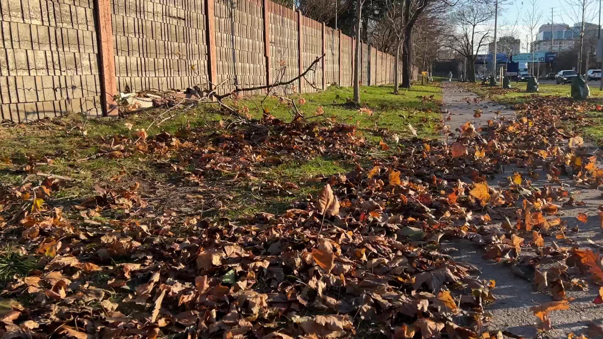 Wind storm wreaks havoc across Southern Ontario