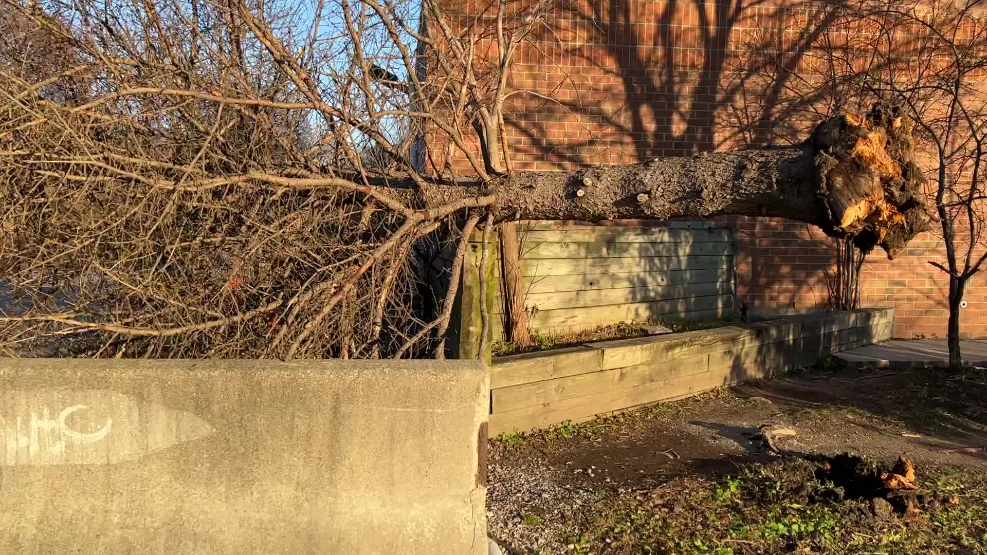 Wind storm wreaks havoc across Southern Ontario