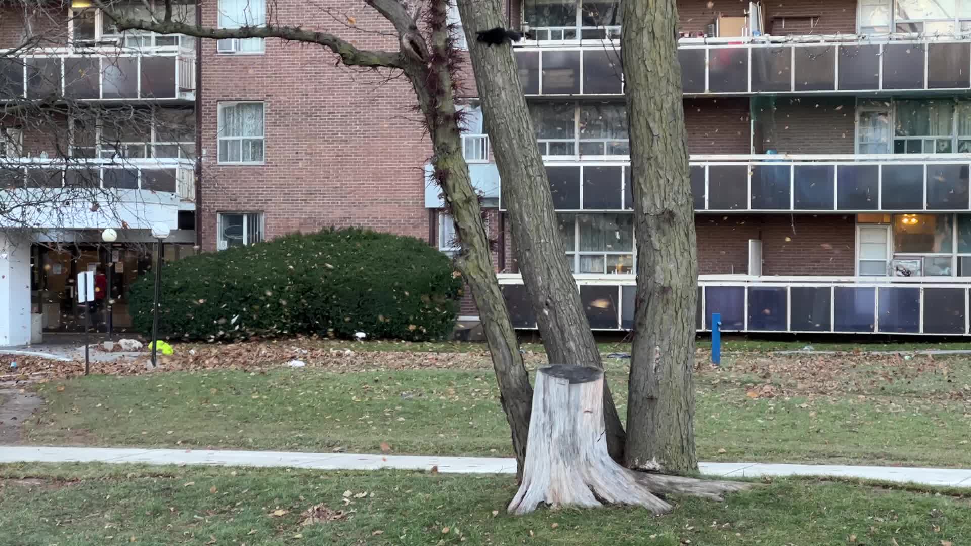 Wind storm wreaks havoc across Southern Ontario