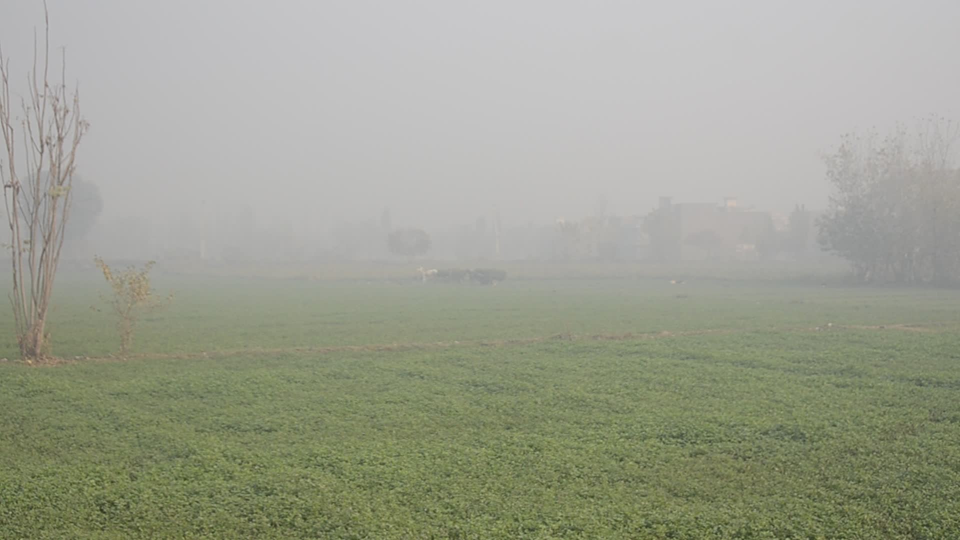 Foggy in Peshawar