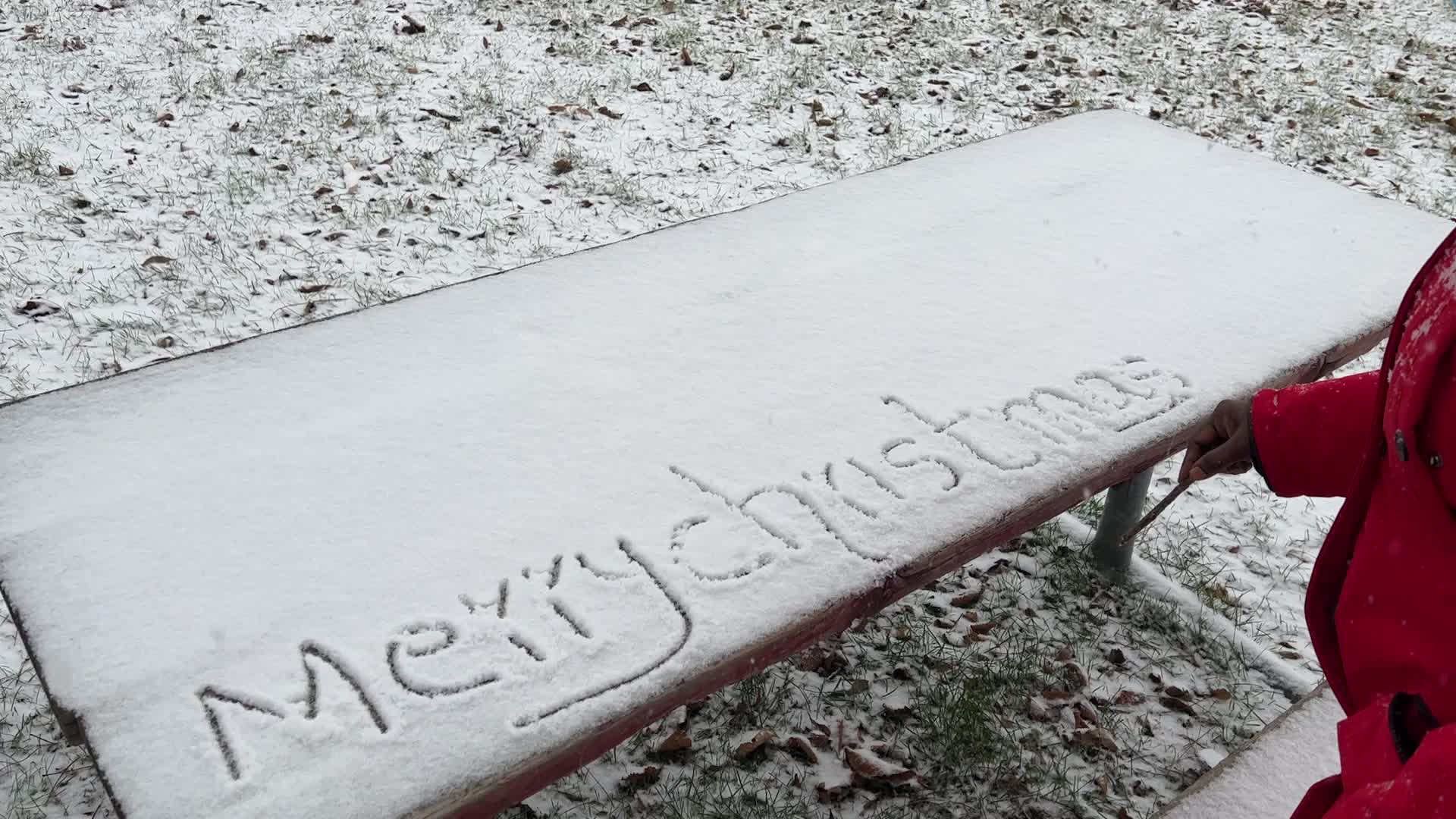 Snowfall in Toronto