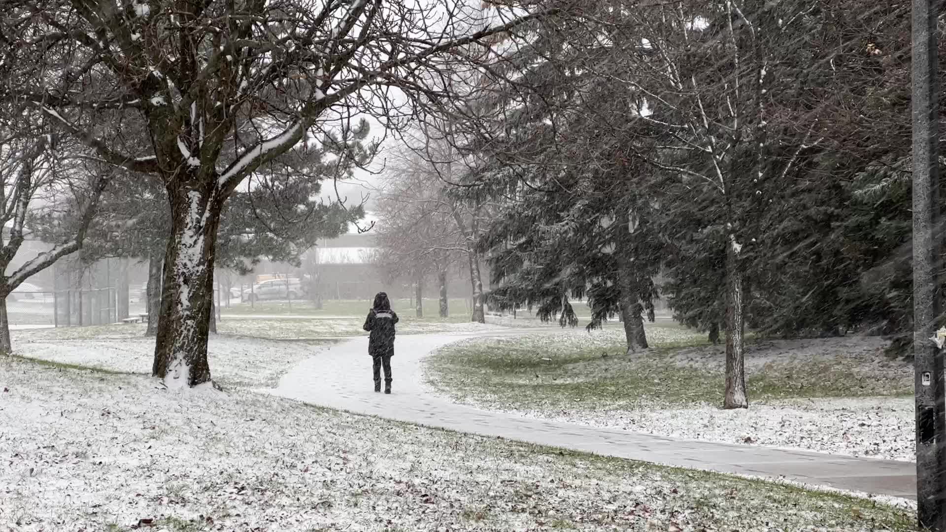 Snowfall in Toronto