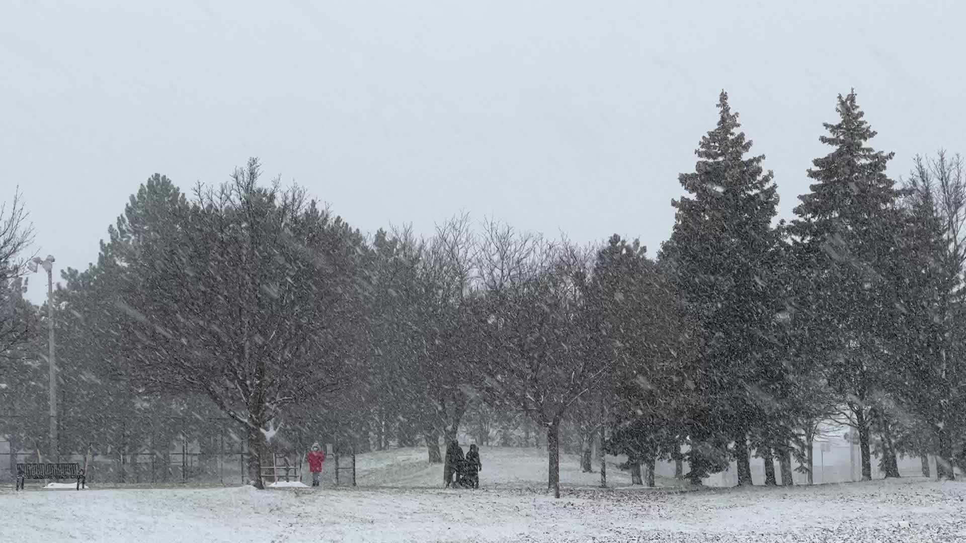 Snowfall in Toronto