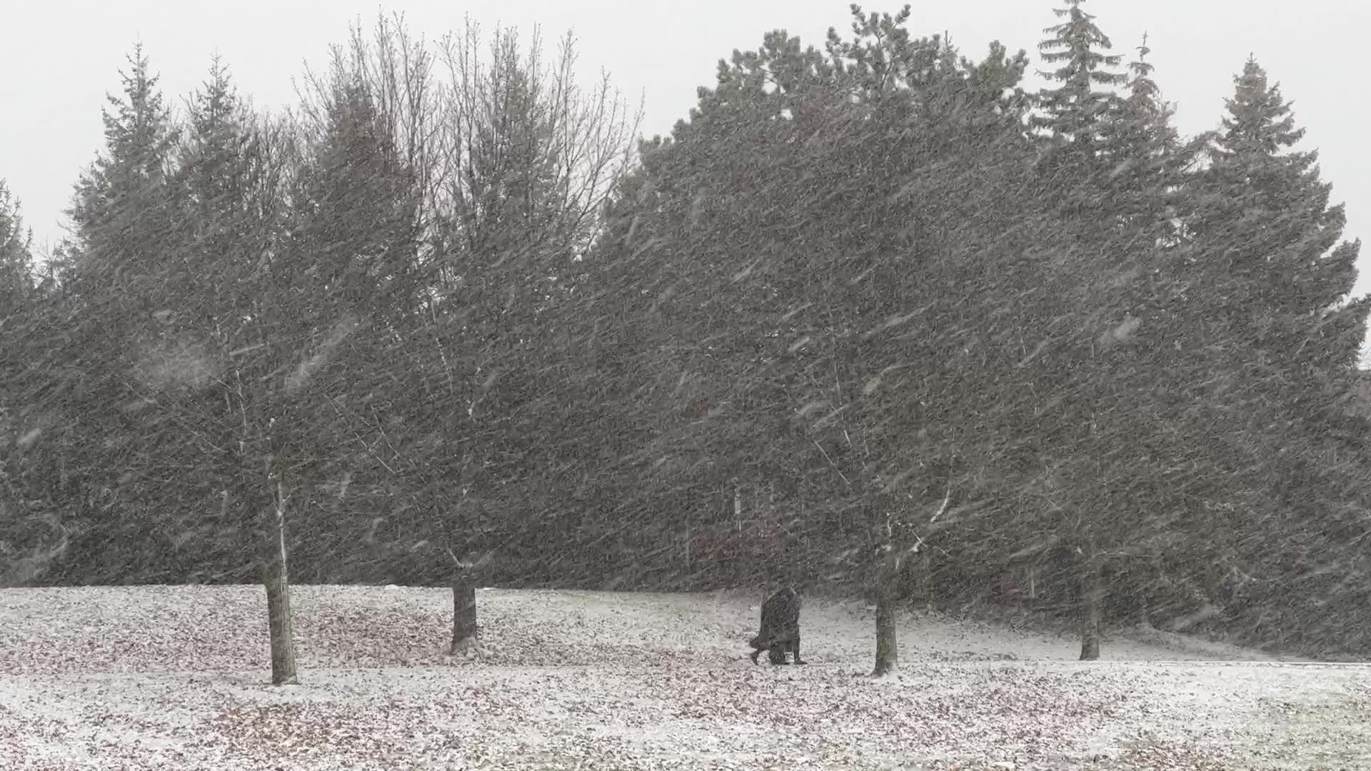 Snowfall in Toronto