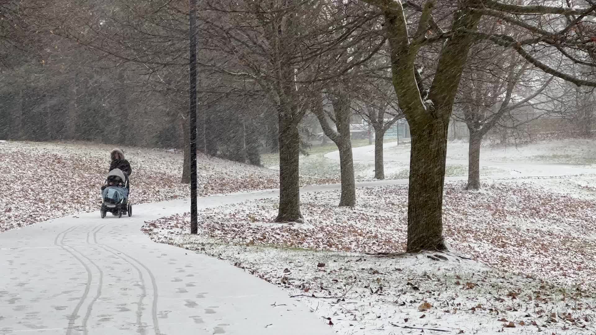 Snowfall in Toronto