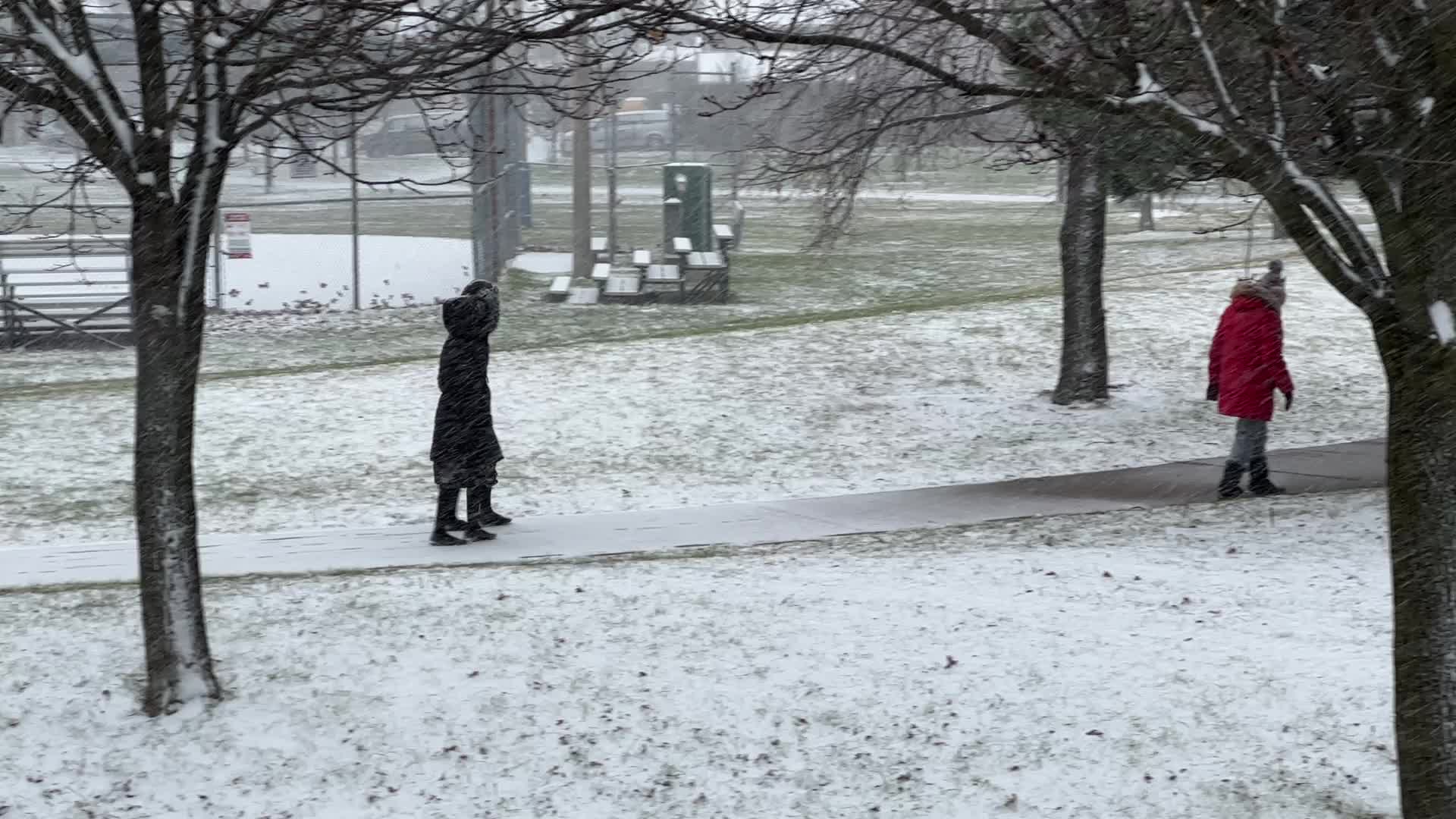 Snowfall in Toronto
