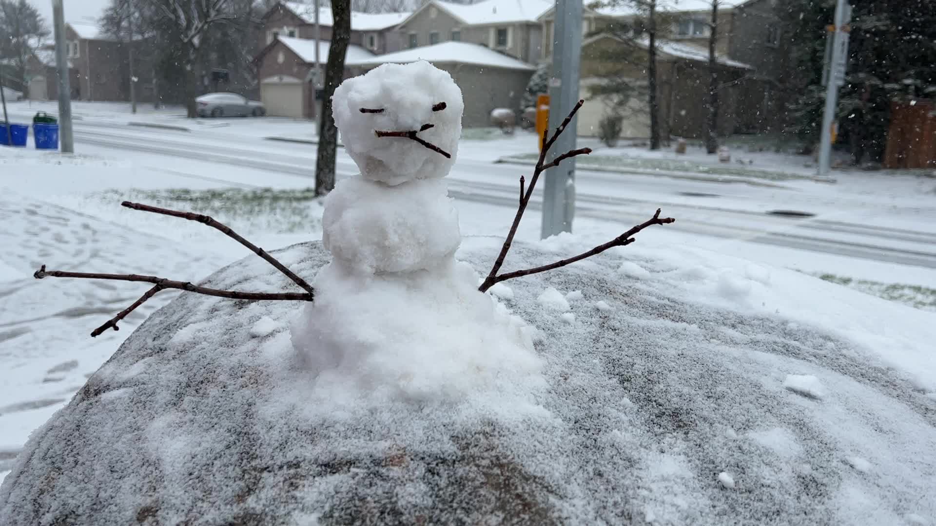 Snowfall in Toronto