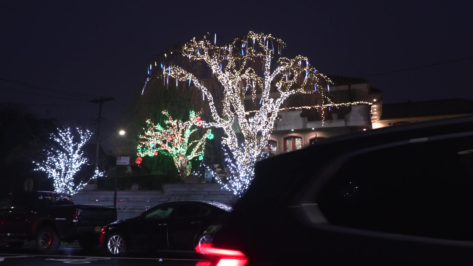 NYC: Dyker Heights Christmas Lights