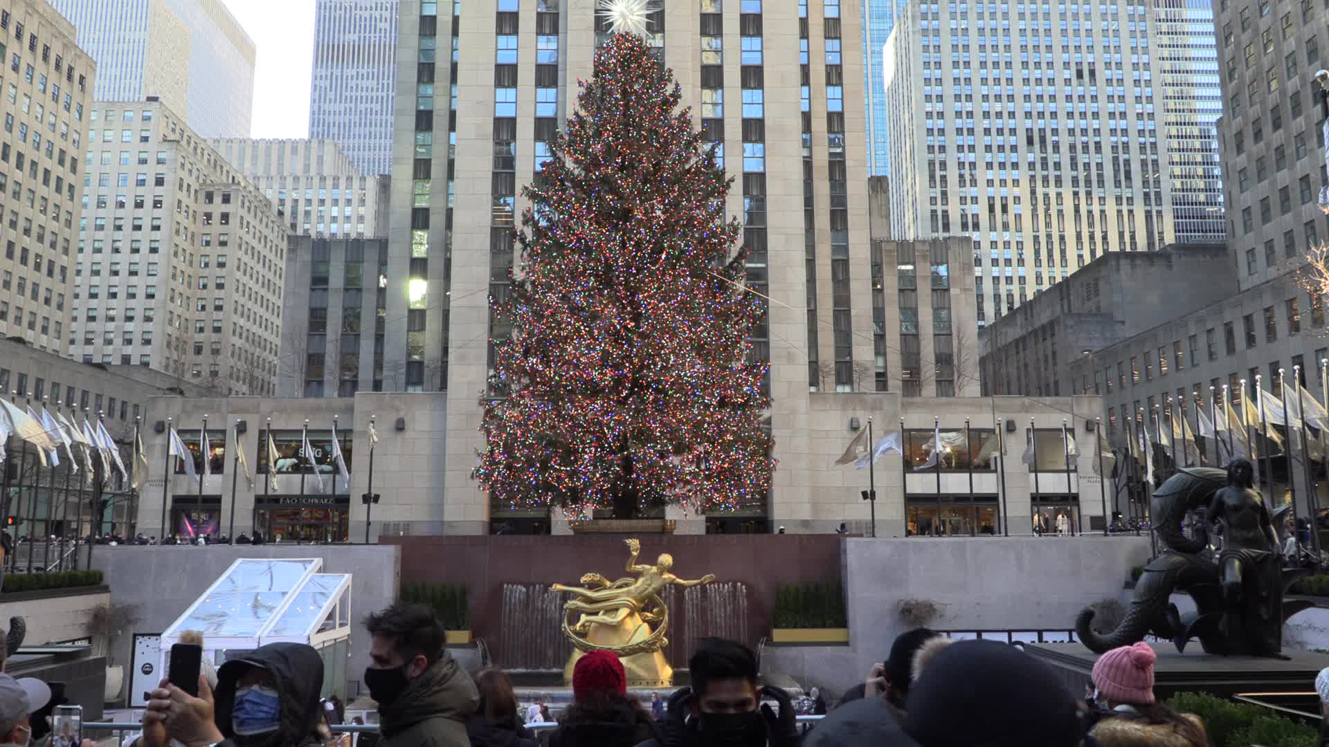 NYC: Rockefeller Center Christmas Tree