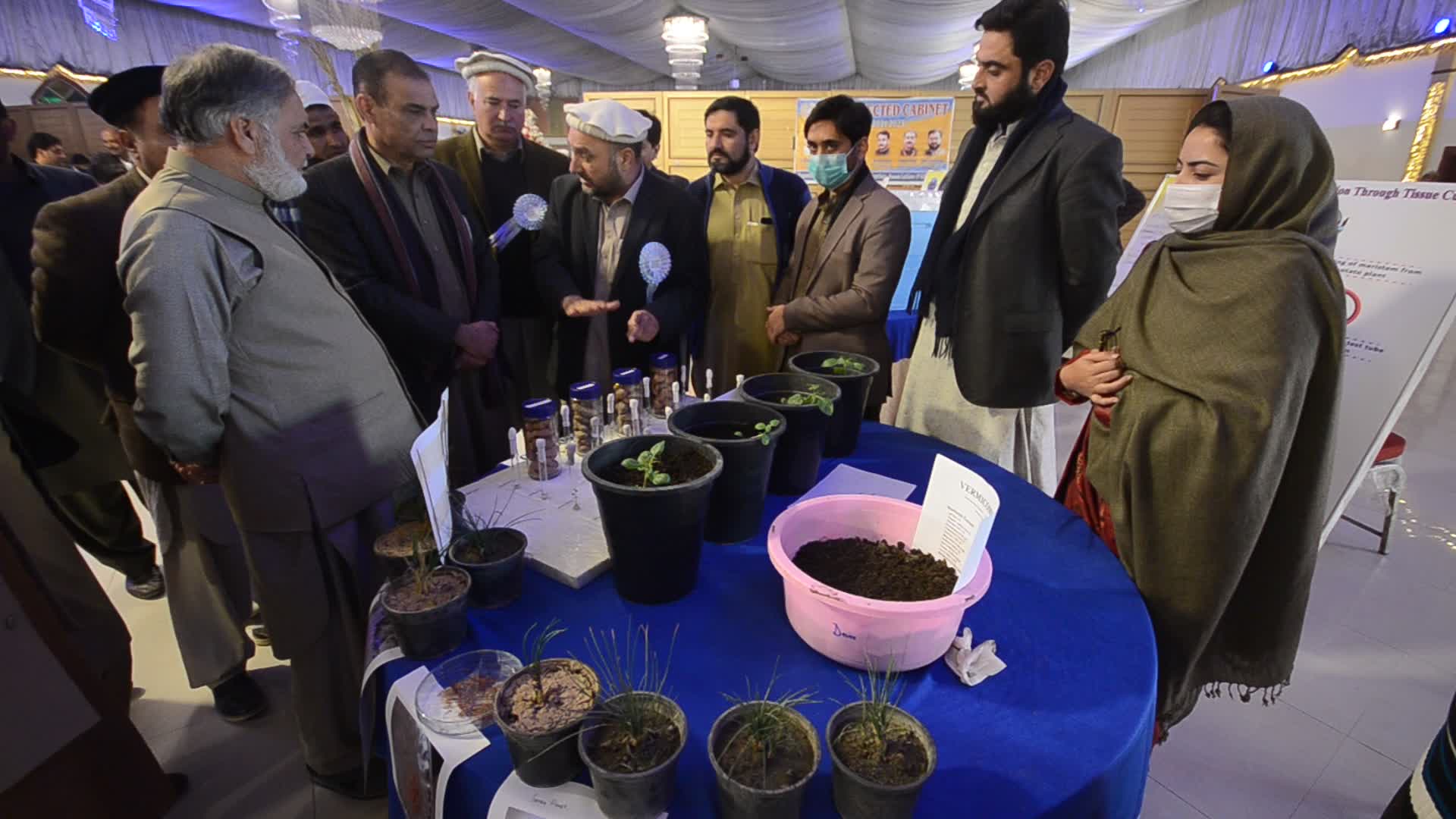 Tarnab farm in Peshawar
