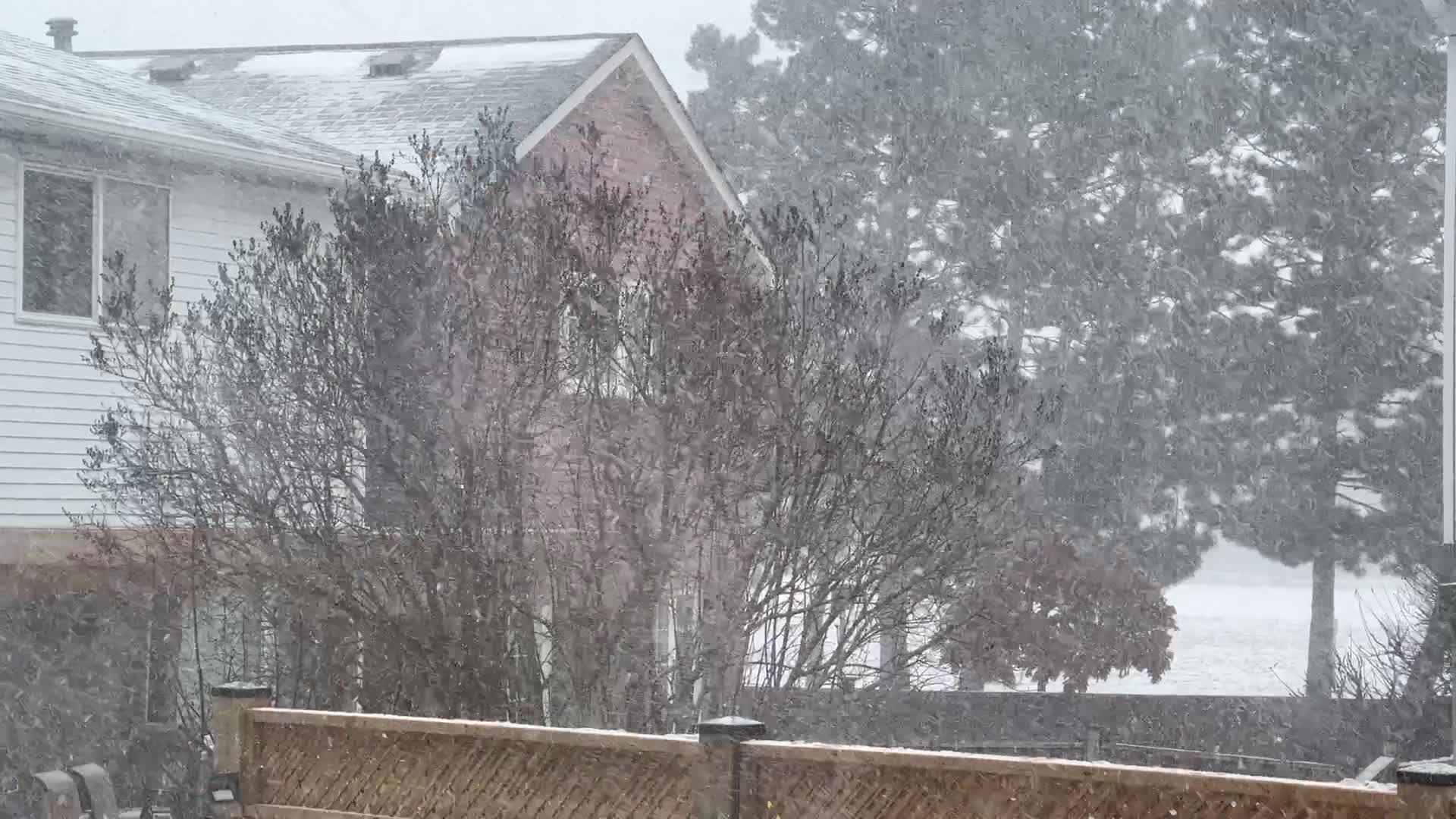Snowfall in Toronto