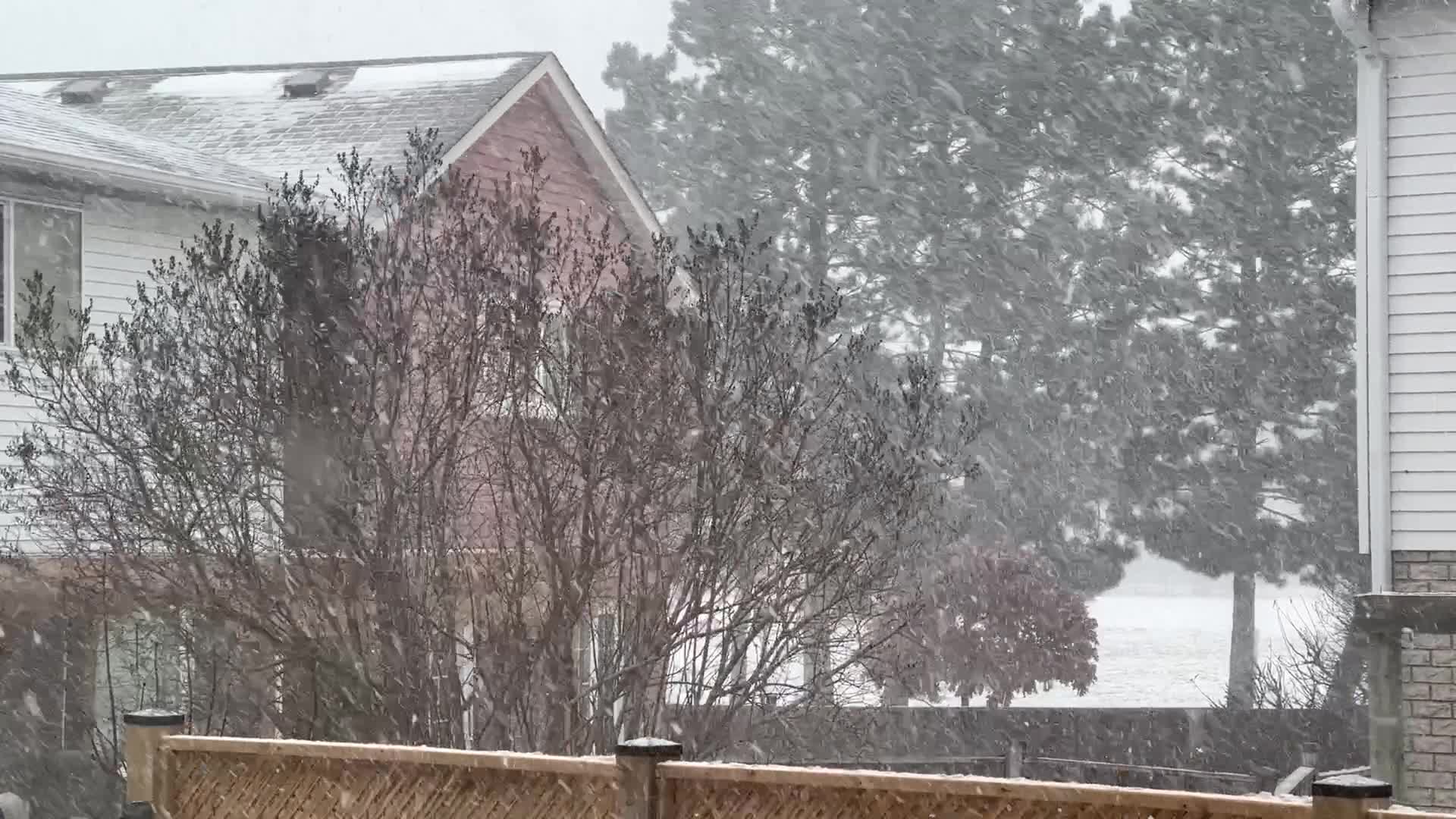 Snowfall in Toronto