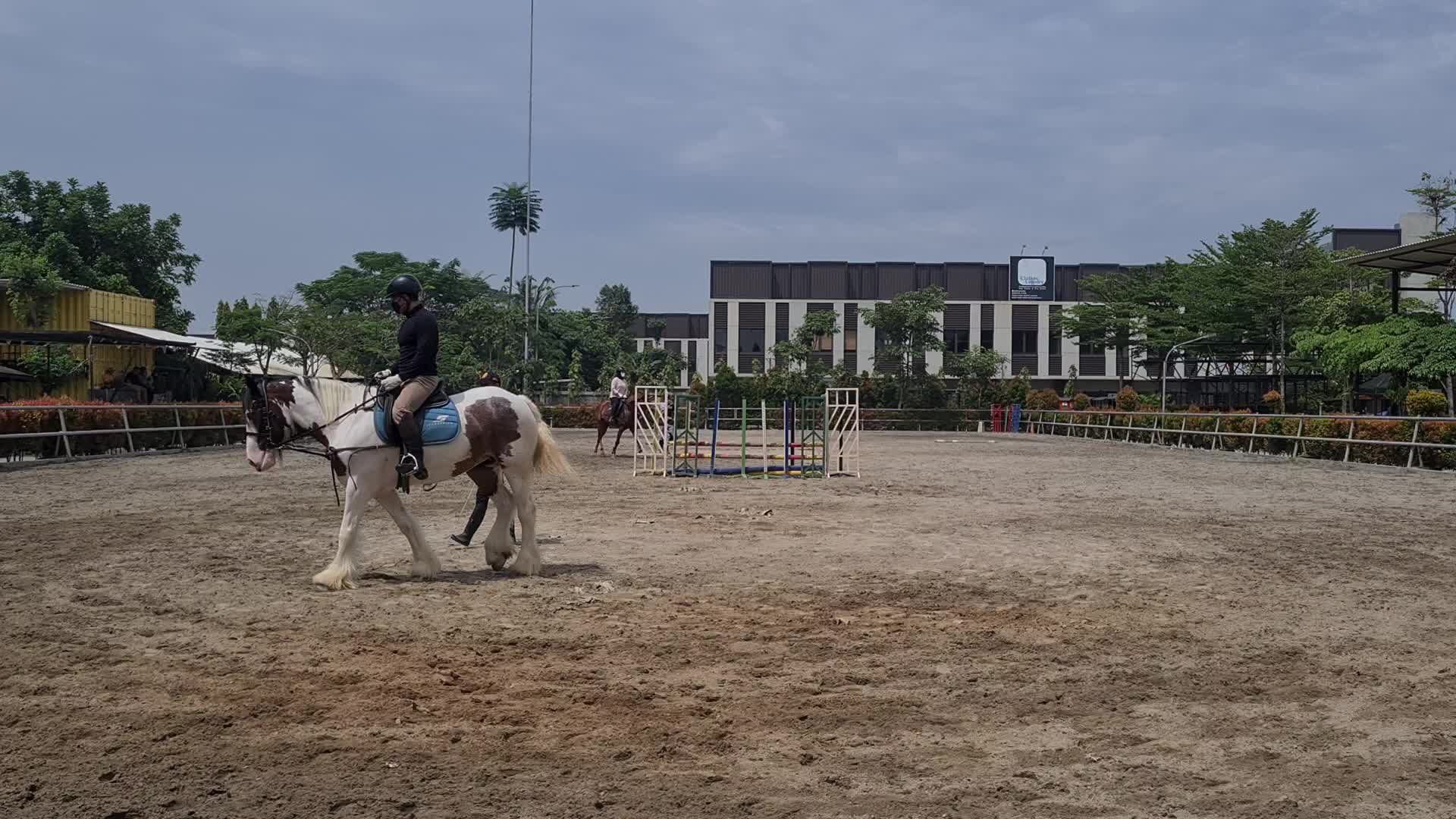 Horse Care at Branchsto Equestrian Park, Indonesia amid the COVID-19 pandemic