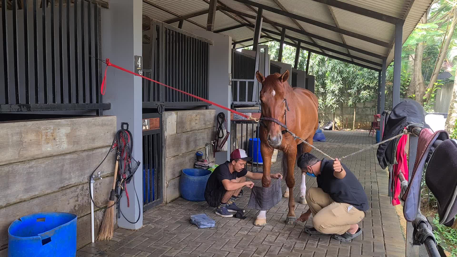Horse Care at Branchsto Equestrian Park, Indonesia amid the COVID-19 pandemic