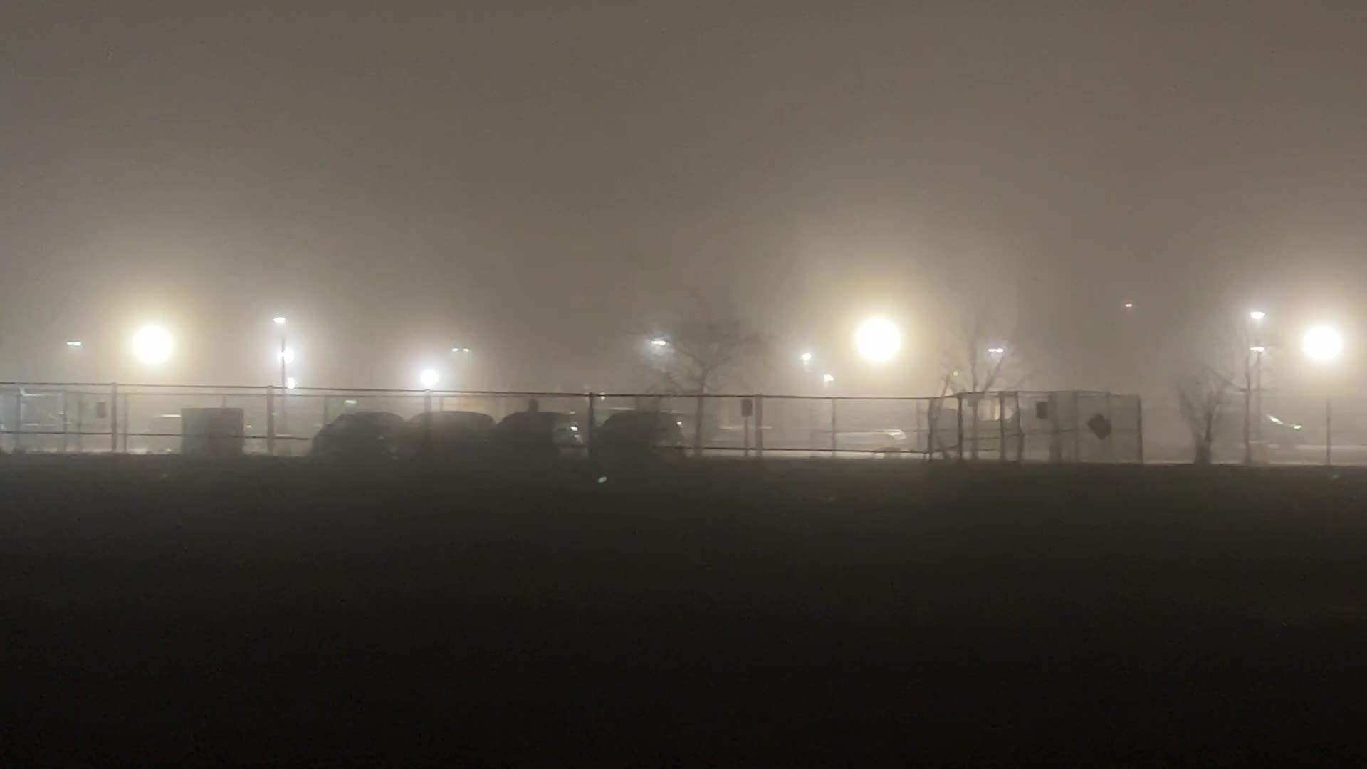 Thick fog covers the city of Toronto 