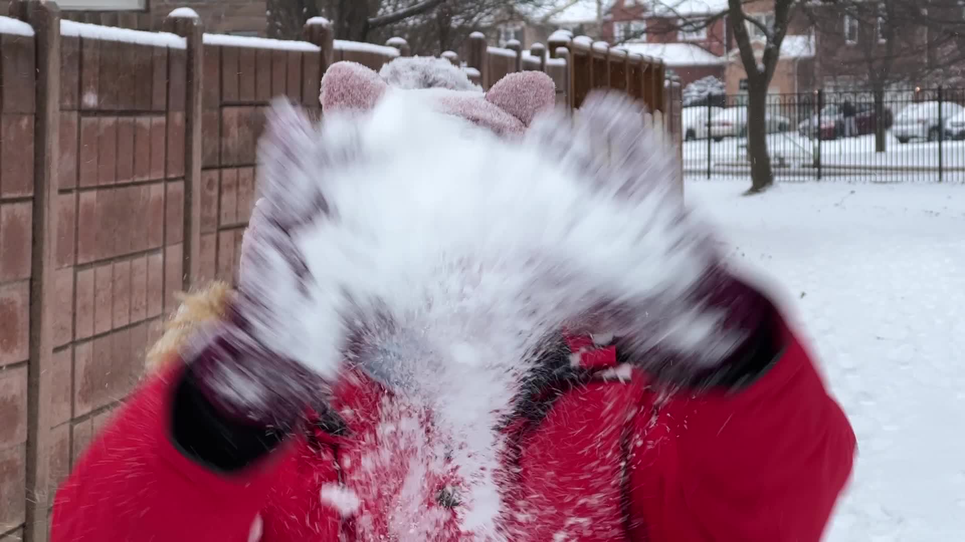 Toronto gets hit by winter snowstorm