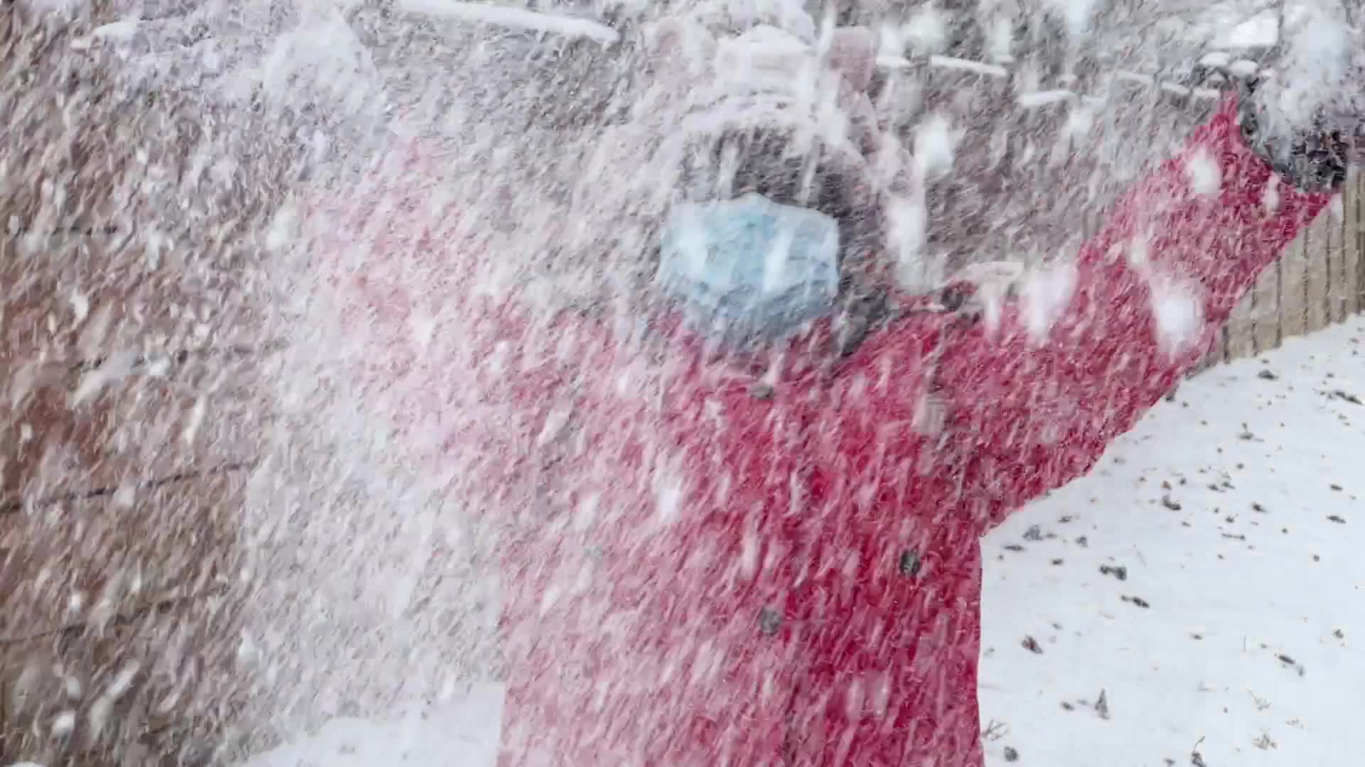 Toronto gets hit by winter snowstorm