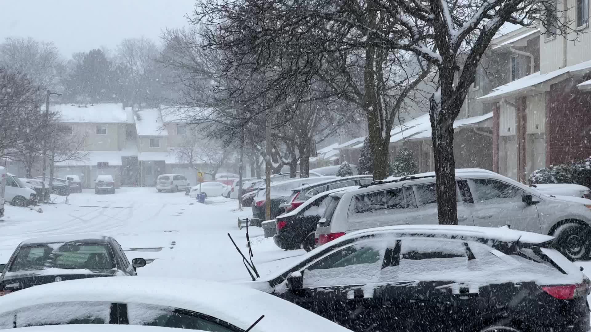 Toronto gets hit by winter snowstorm