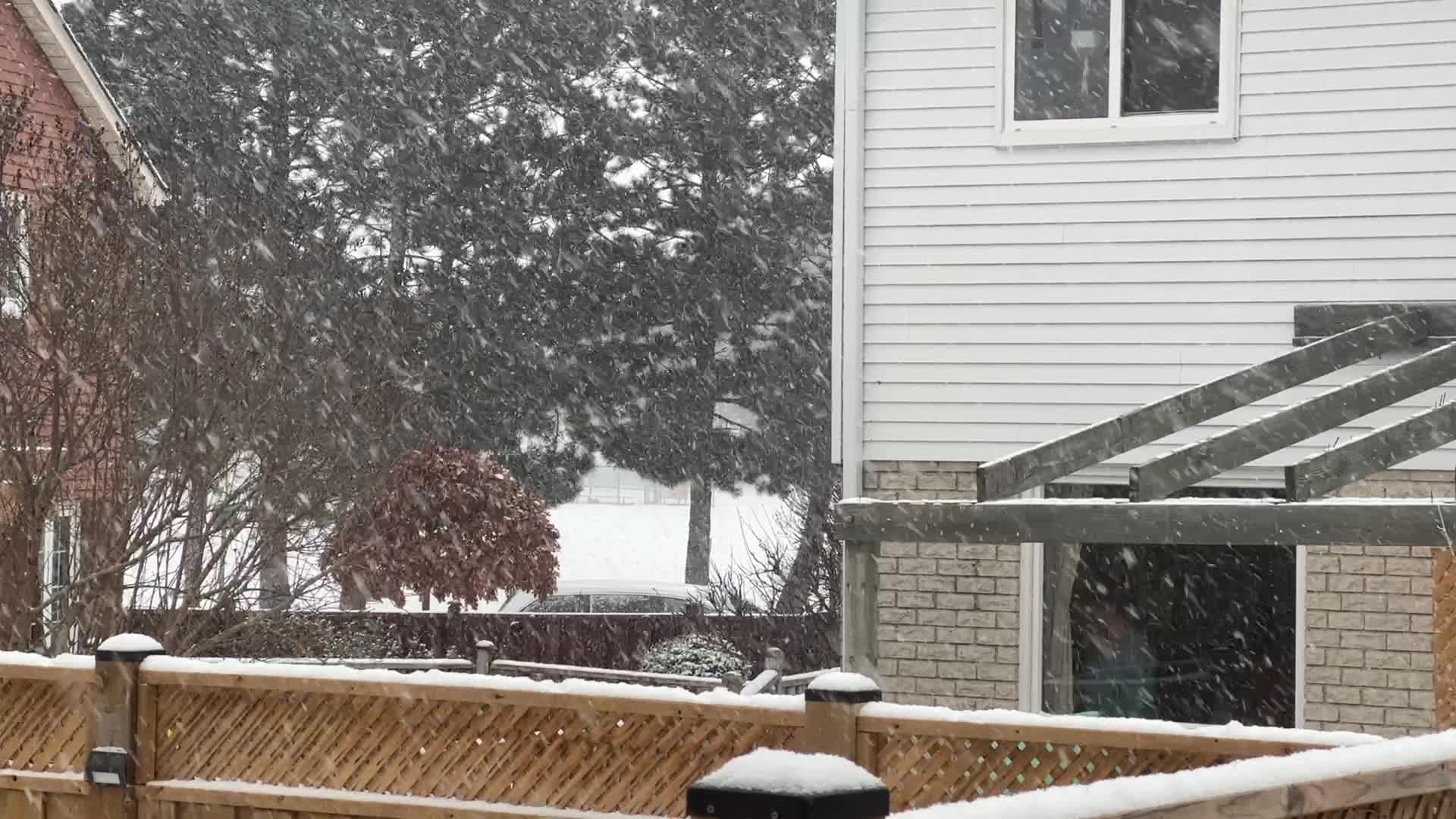 Toronto gets hit by winter snowstorm