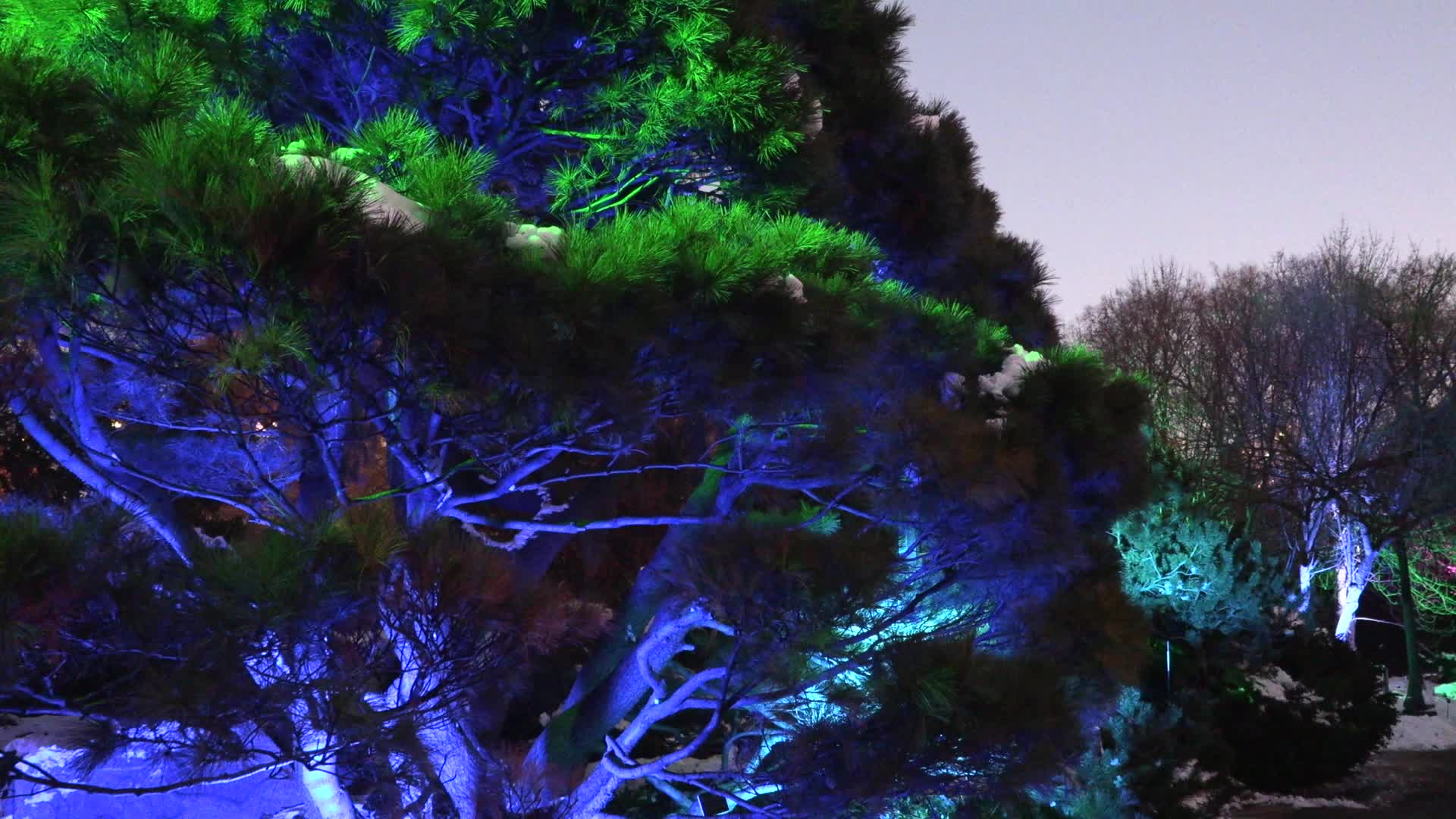 NYC: Brooklyn Botanical Garden Lightscape Show
