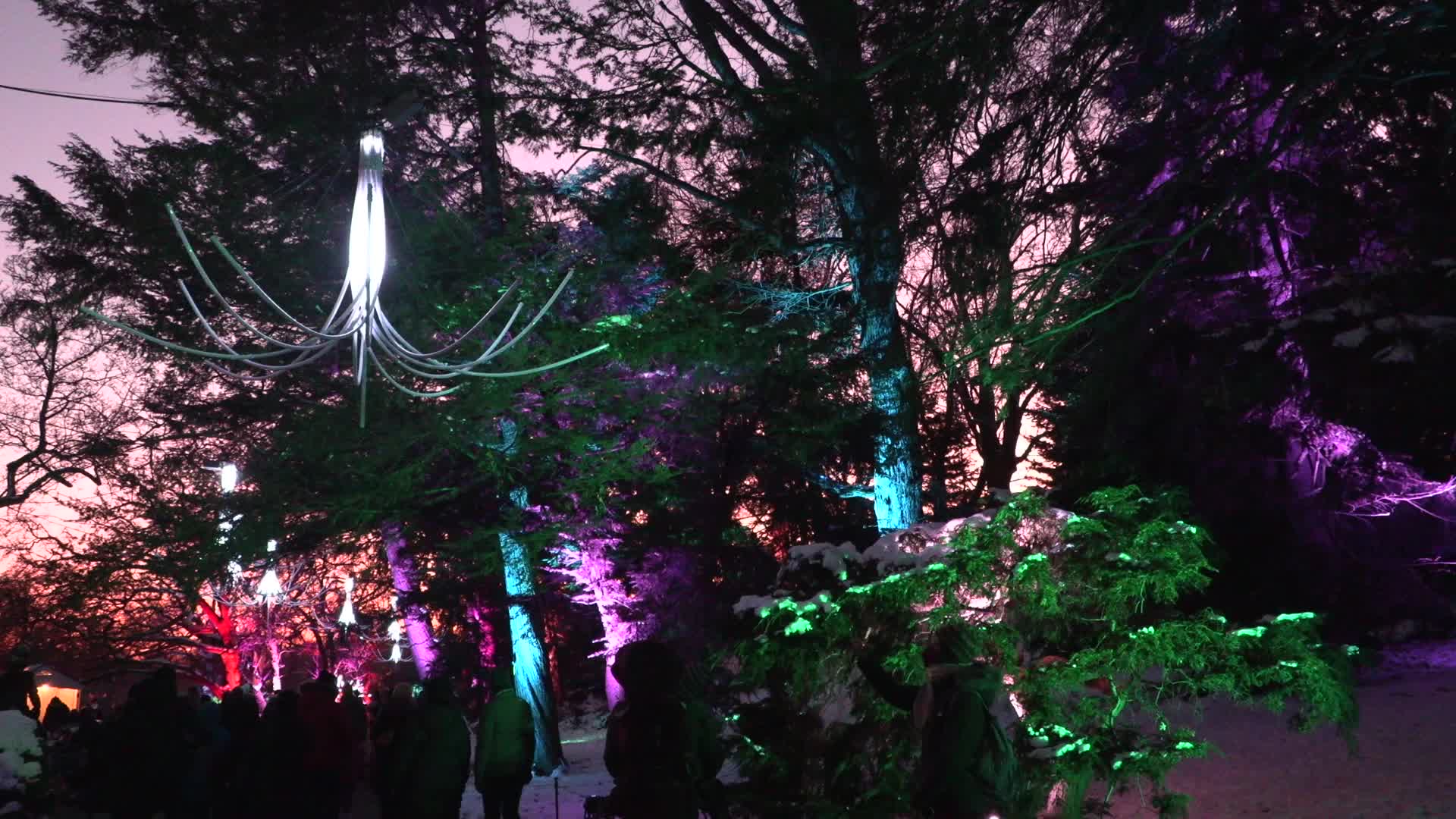 NYC: Brooklyn Botanical Garden Lightscape Show