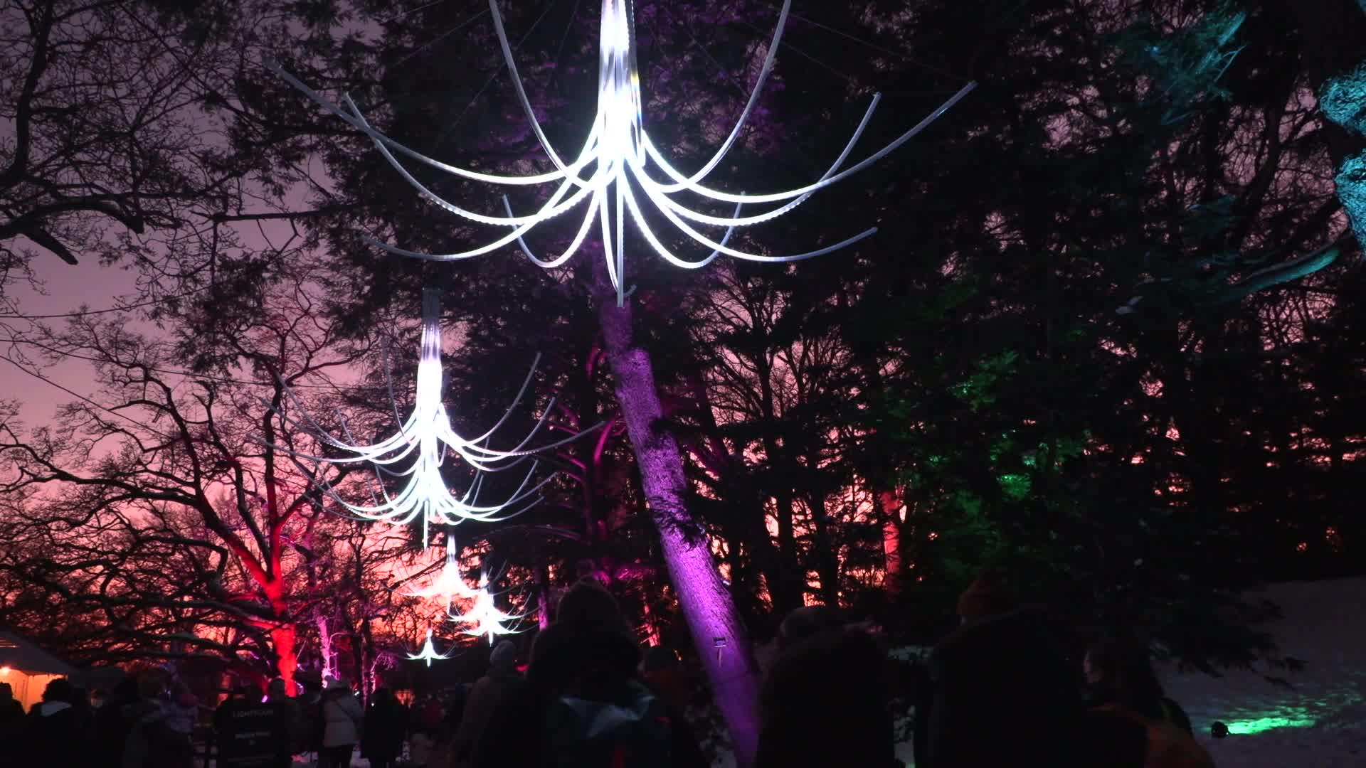 NYC: Brooklyn Botanical Garden Lightscape Show