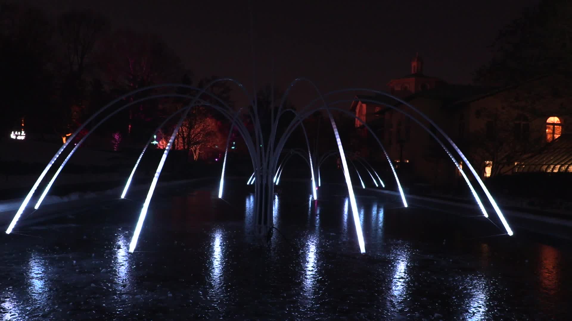 NYC: Brooklyn Botanical Garden Lightscape Show