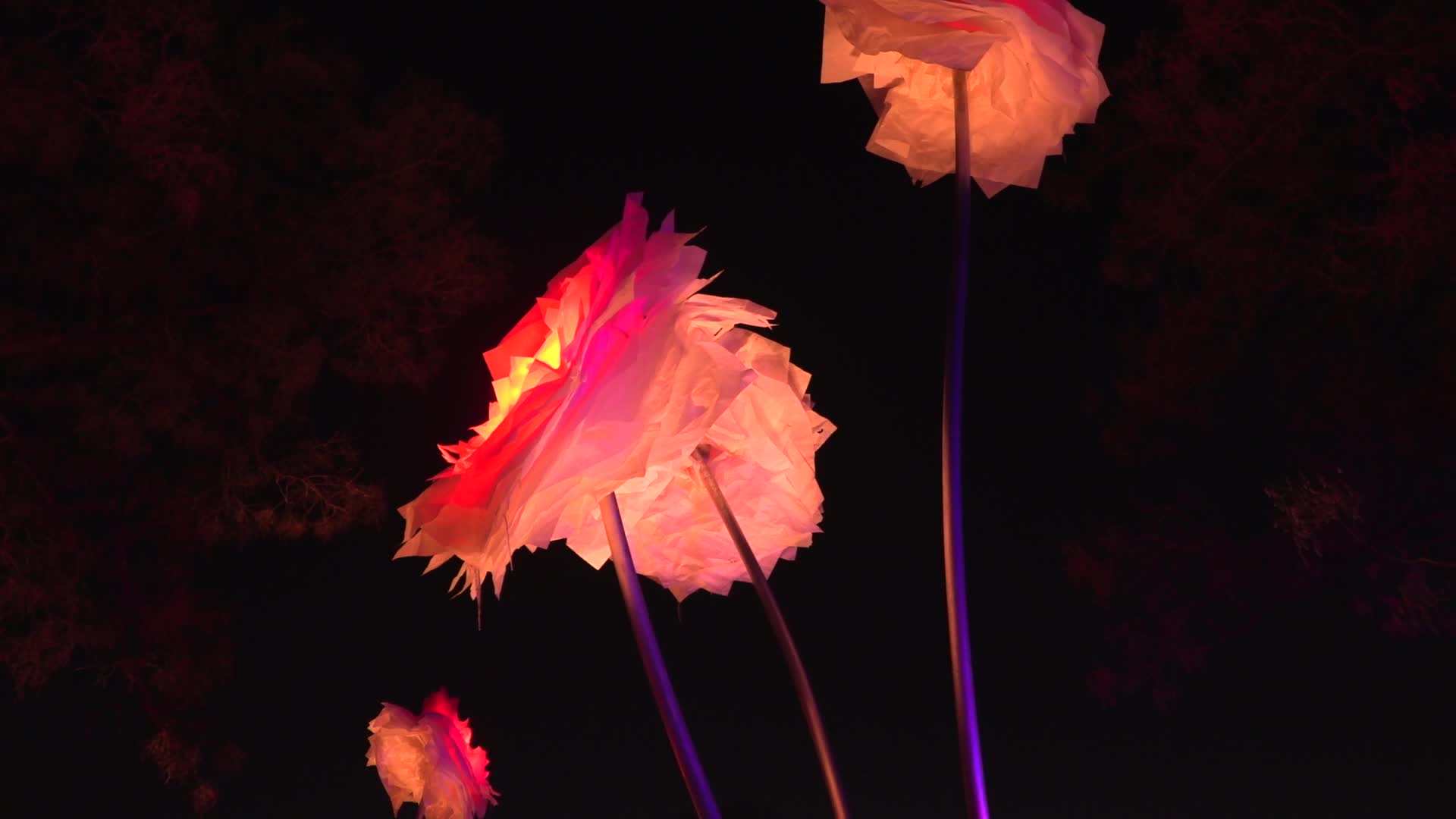 NYC: Brooklyn Botanical Garden Lightscape Show