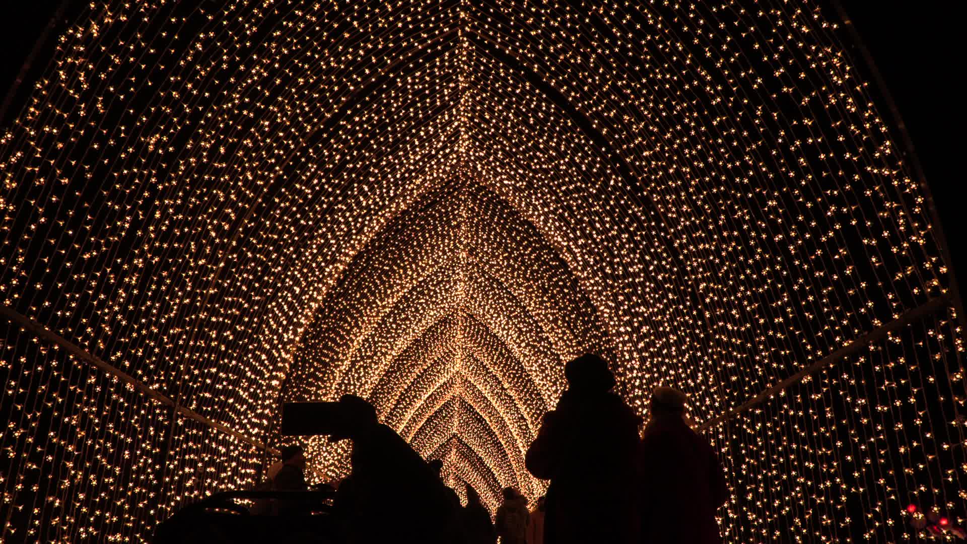 NYC: Brooklyn Botanical Garden Lightscape Show